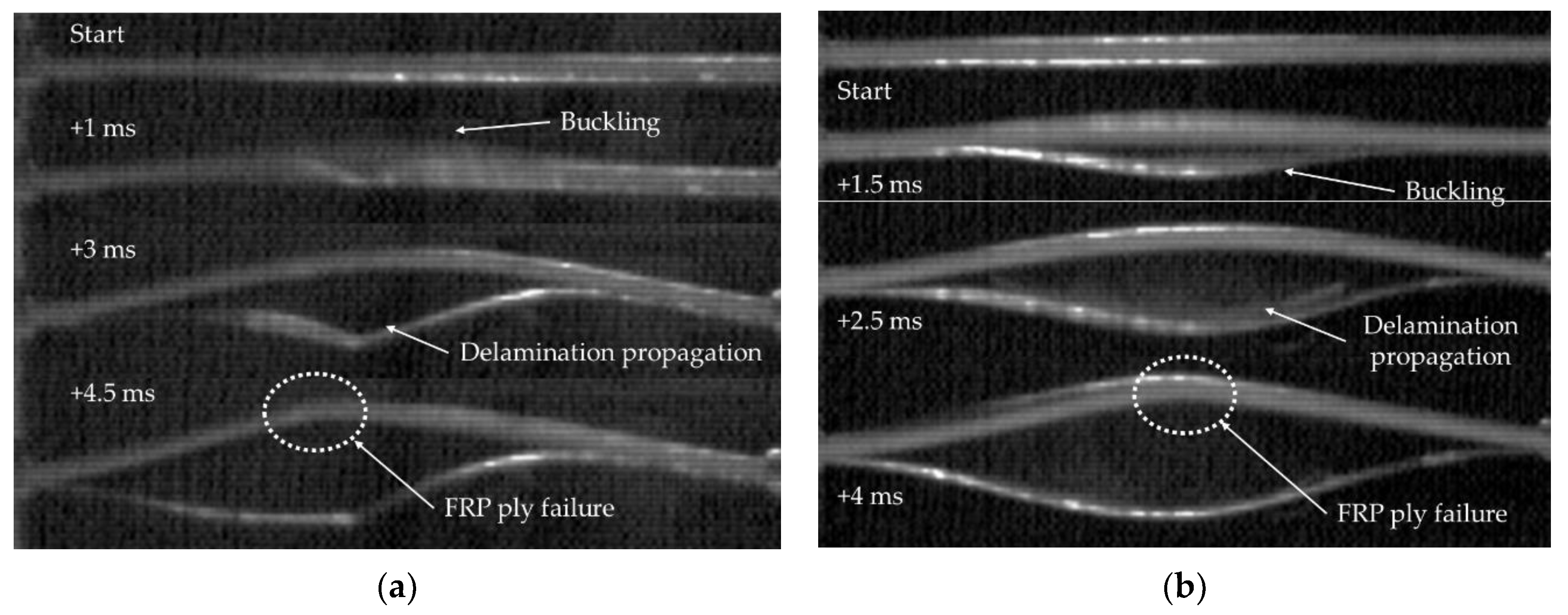 Nanomaterials 09 01482 g007