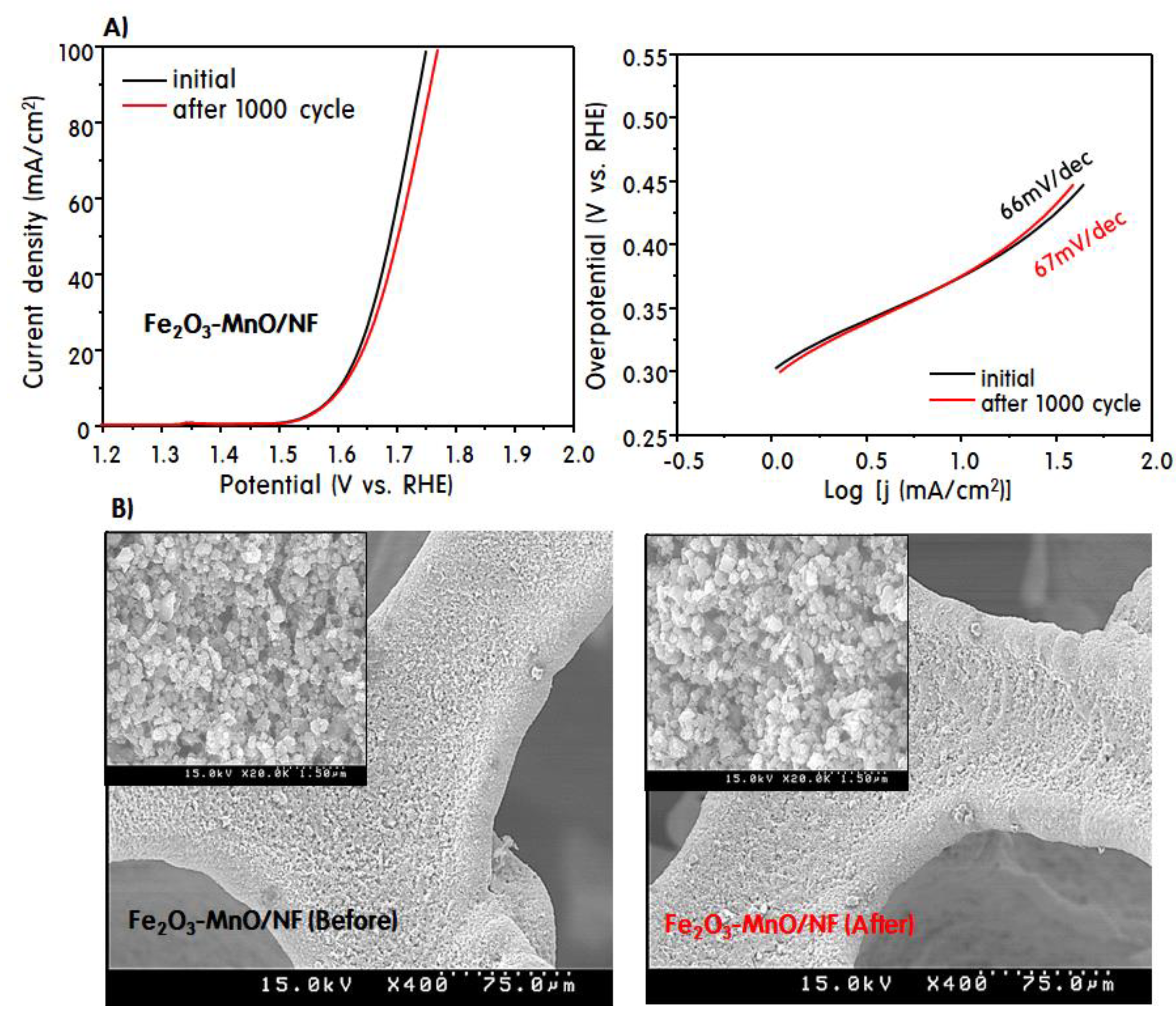 Nanomaterials 09 01486 g005