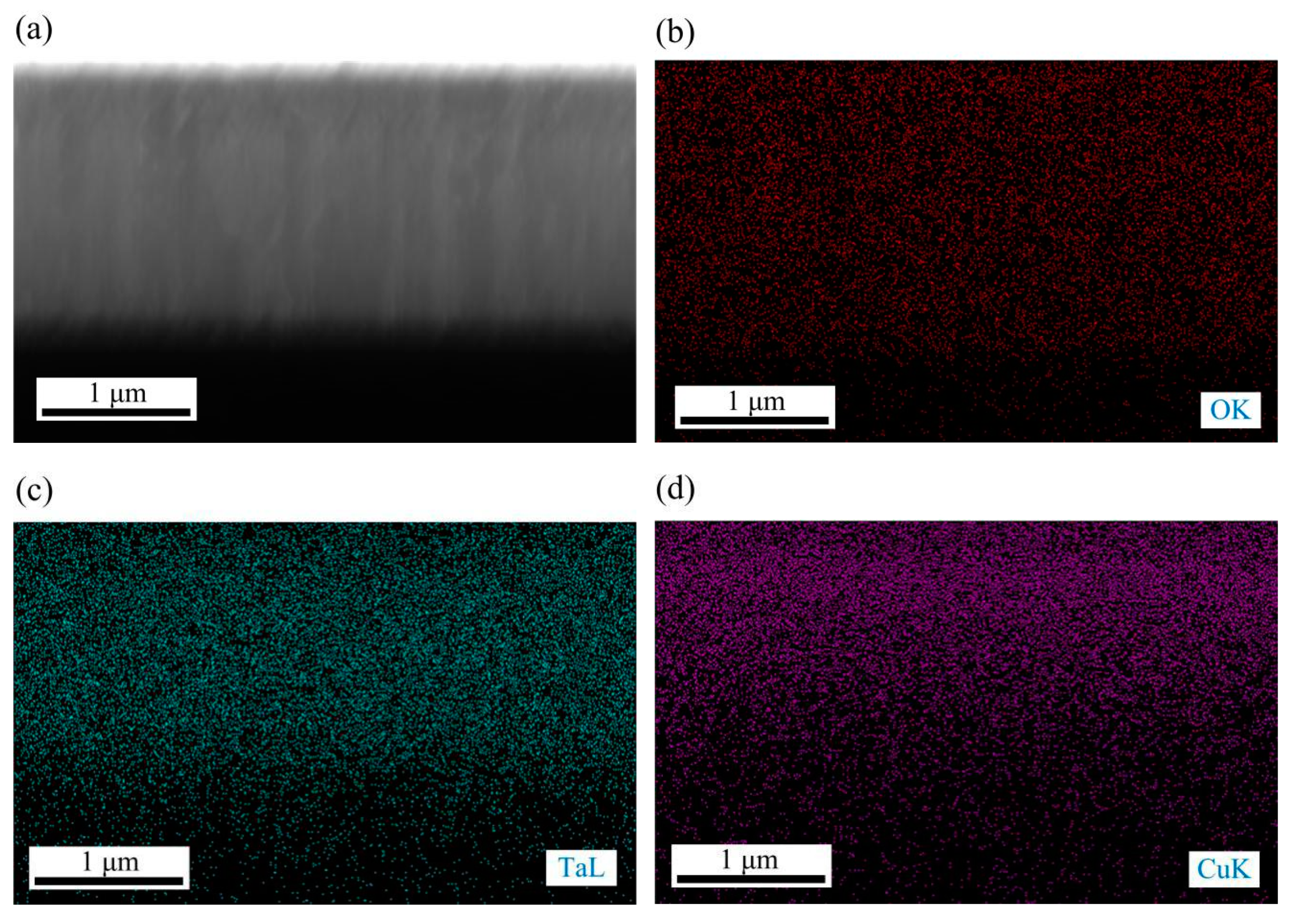 Nanomaterials 09 01498 g005a