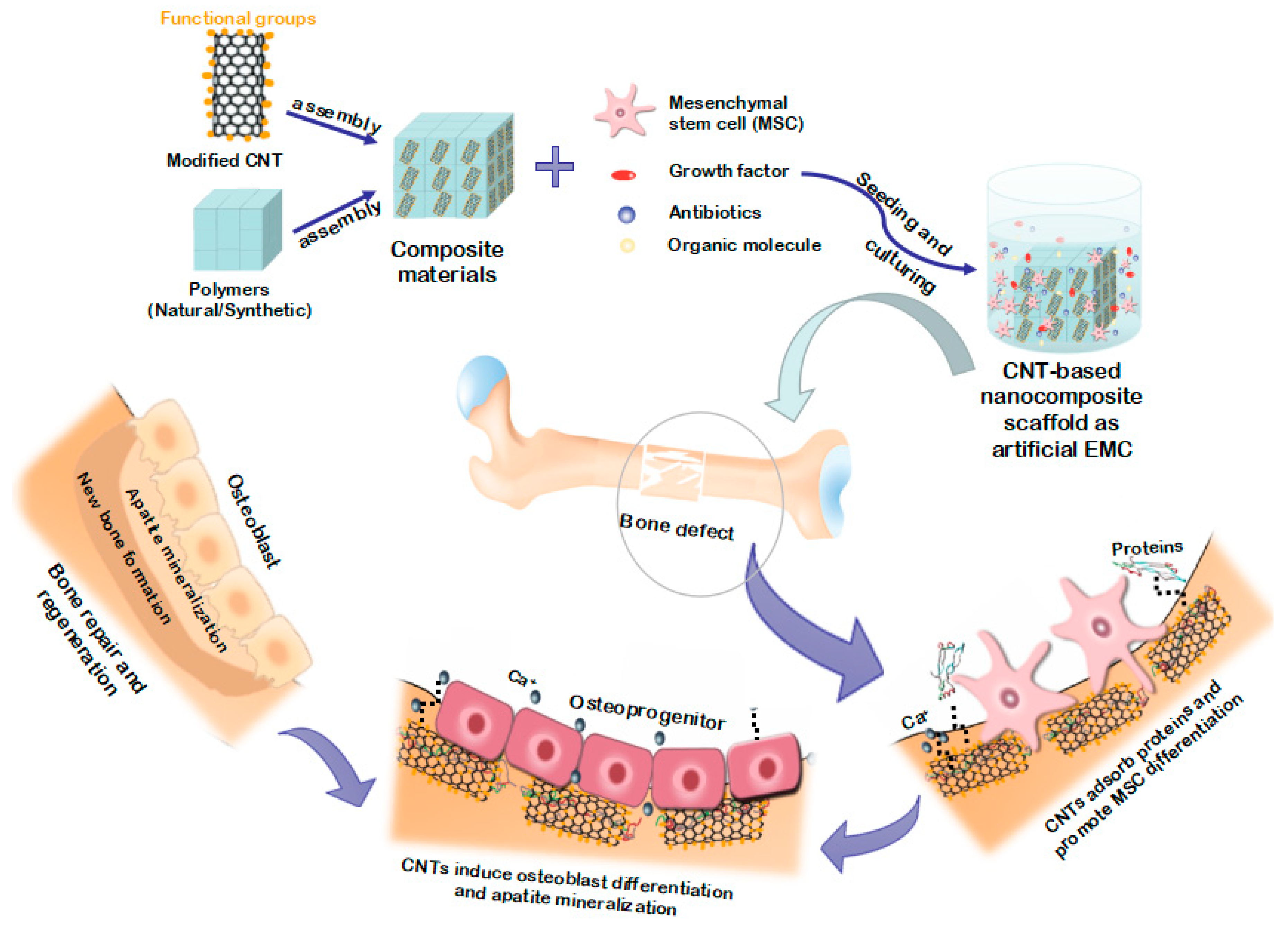 Nanomaterials 09 01501 g001