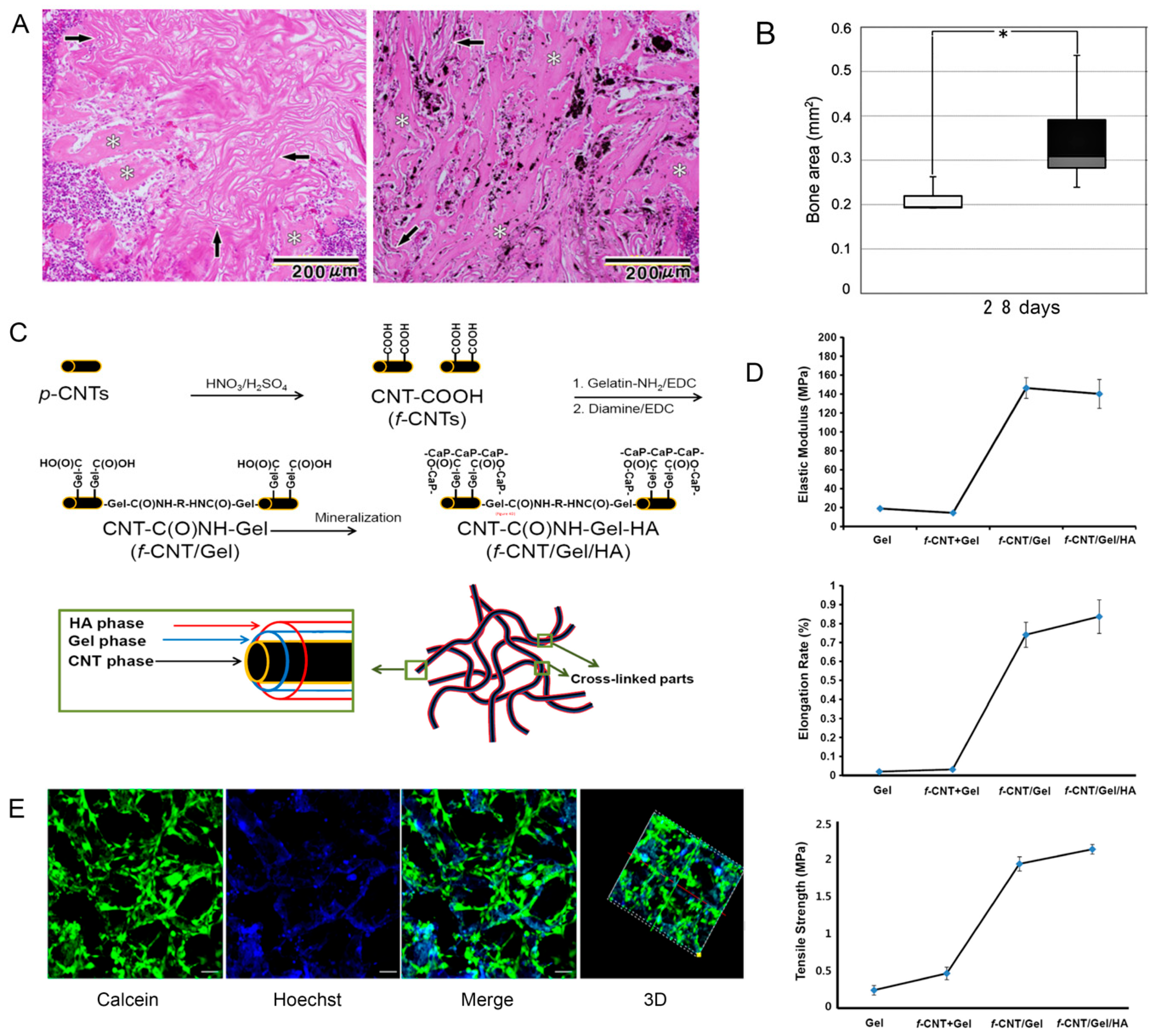 Nanomaterials 09 01501 g004