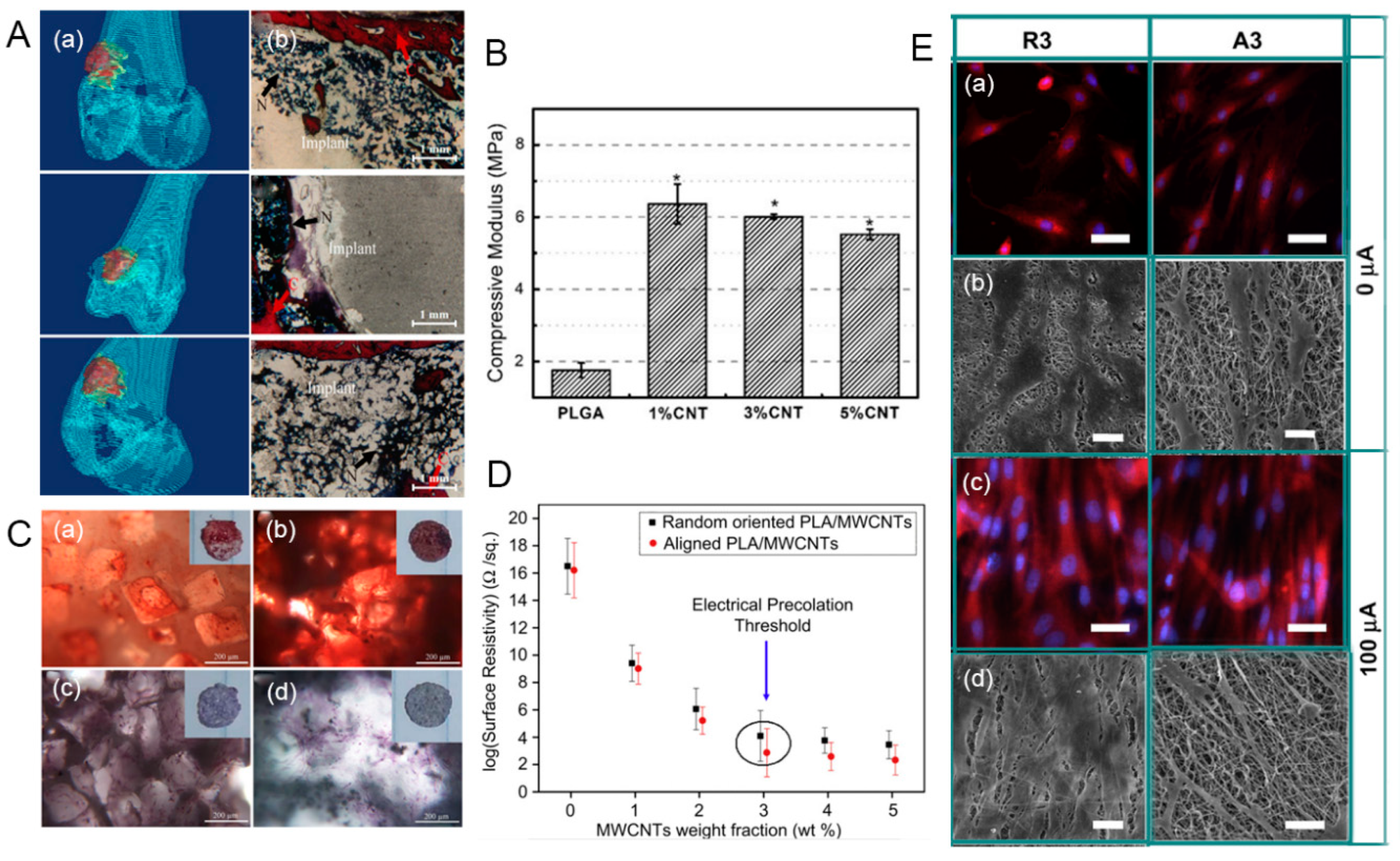 Nanomaterials 09 01501 g006