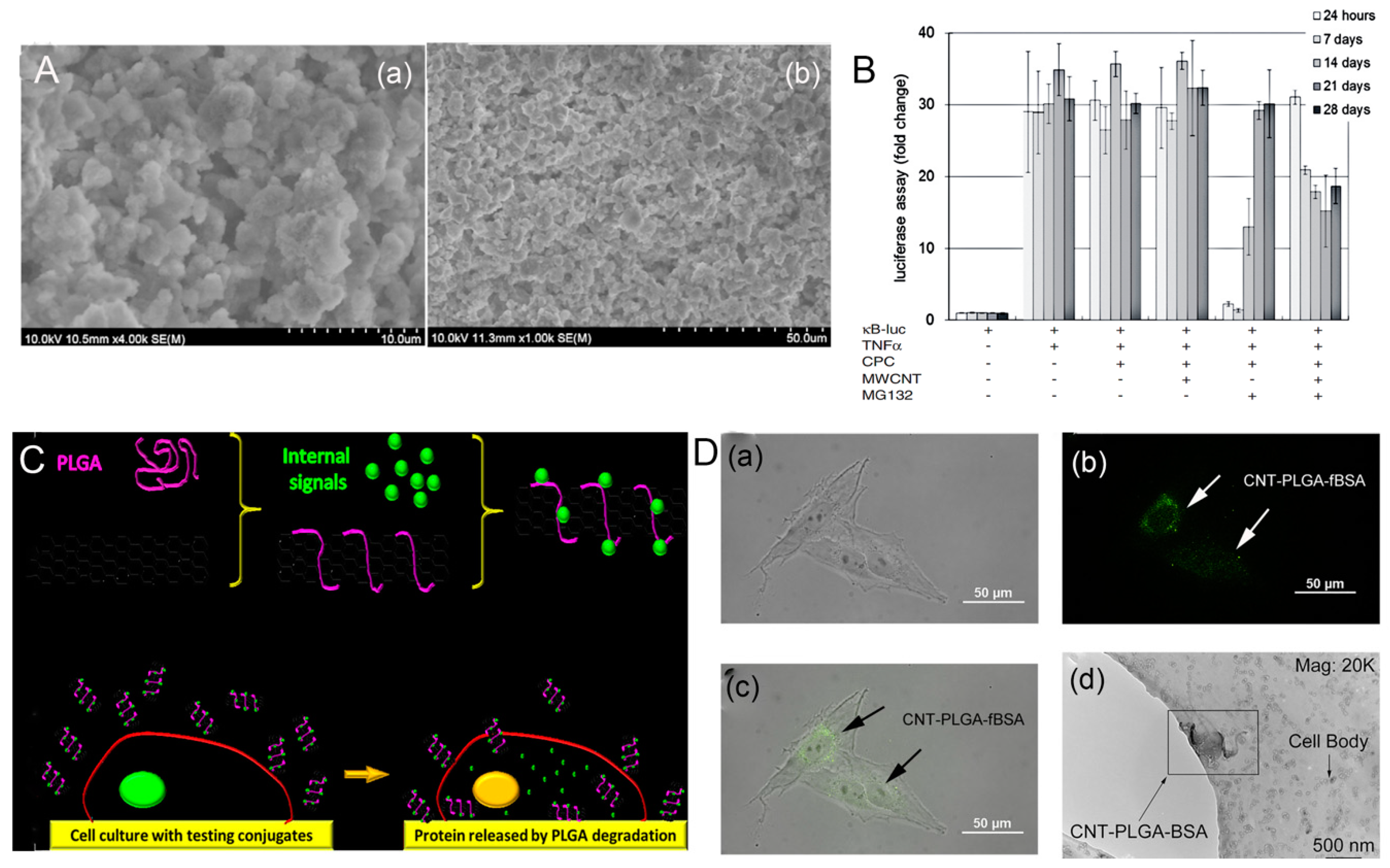Nanomaterials 09 01501 g010