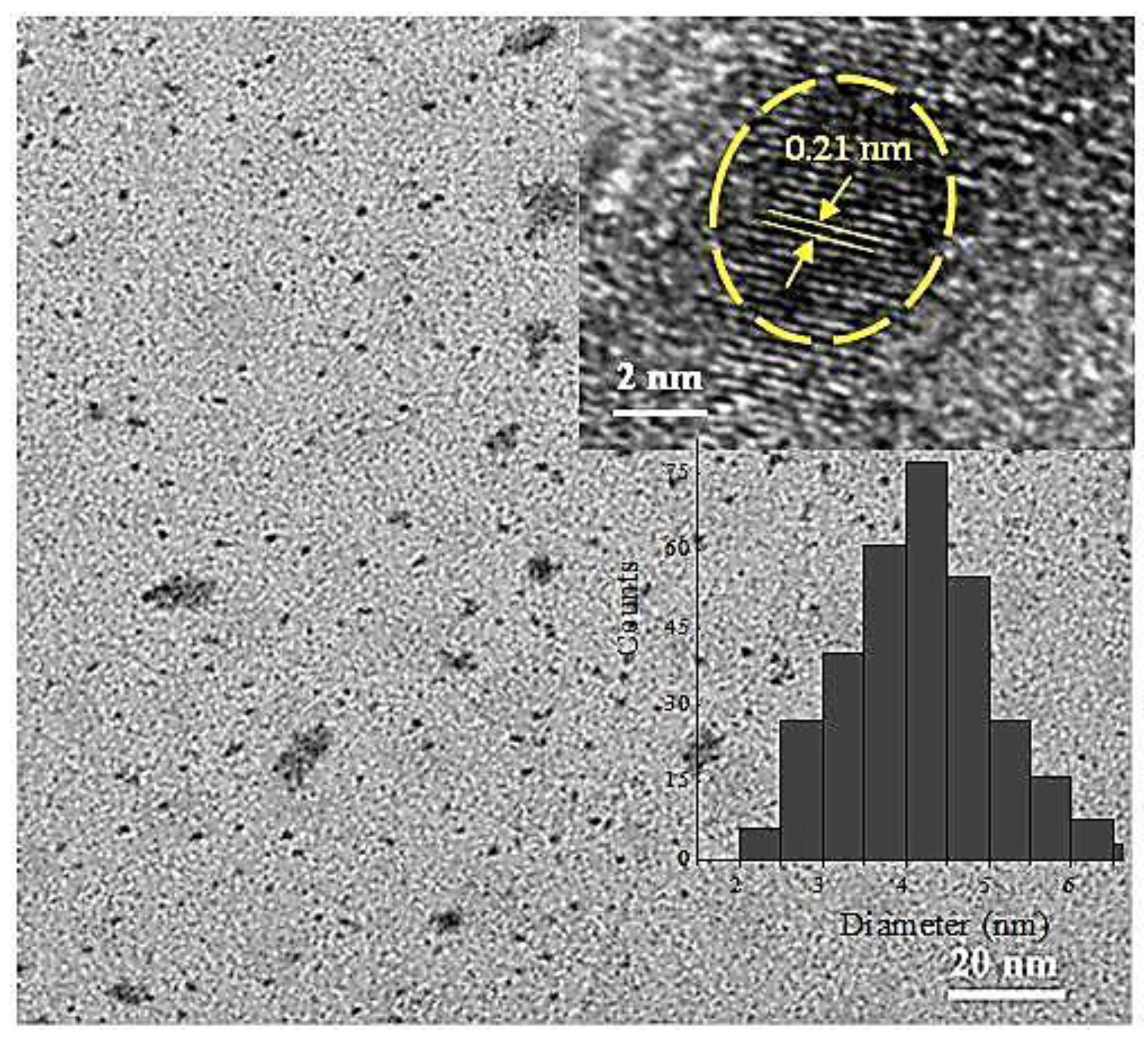Nanomaterials 09 01502 g001