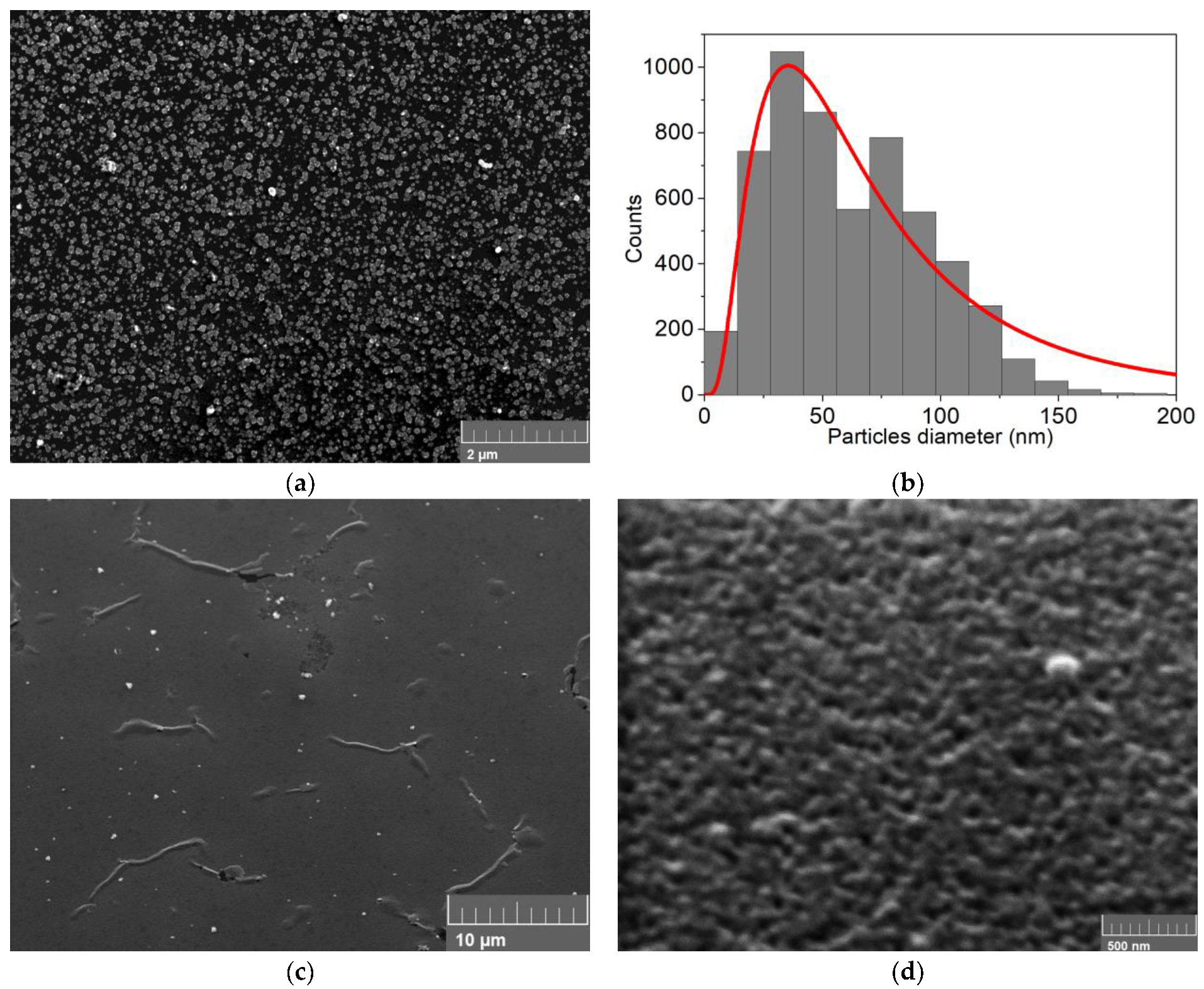 Nanomaterials 09 01504 g007