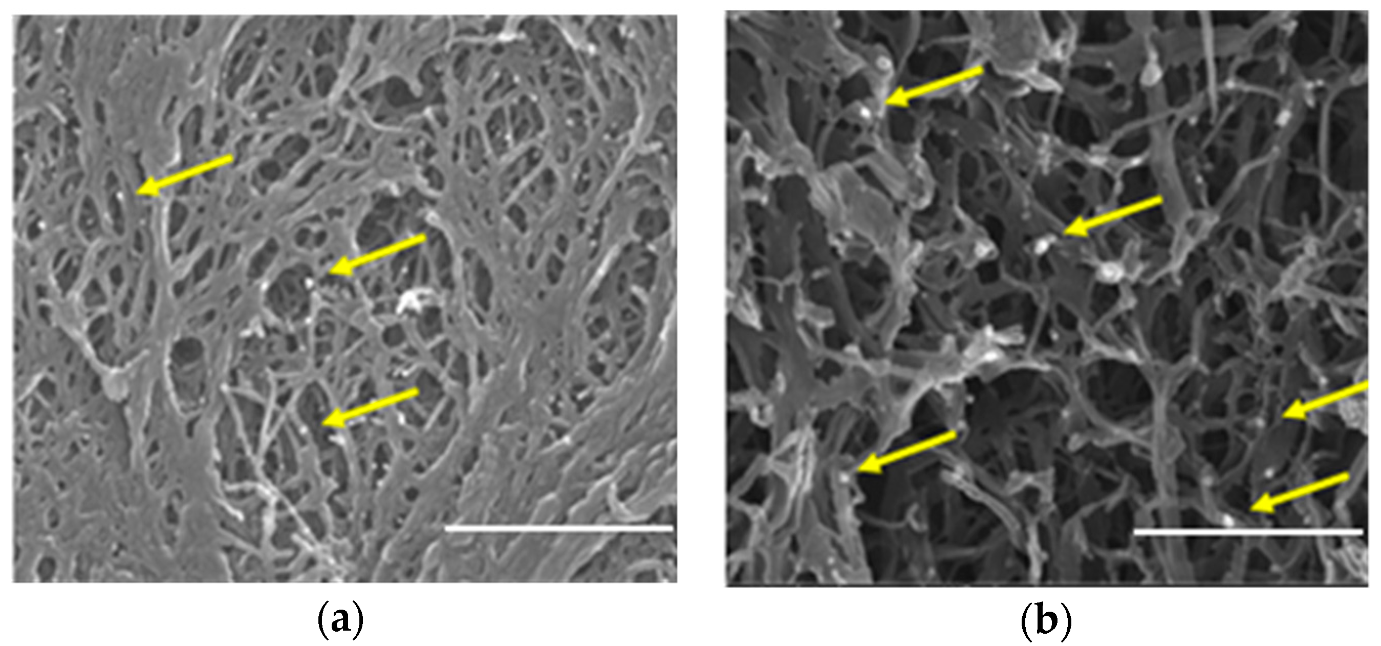 Nanomaterials 09 01509 g002