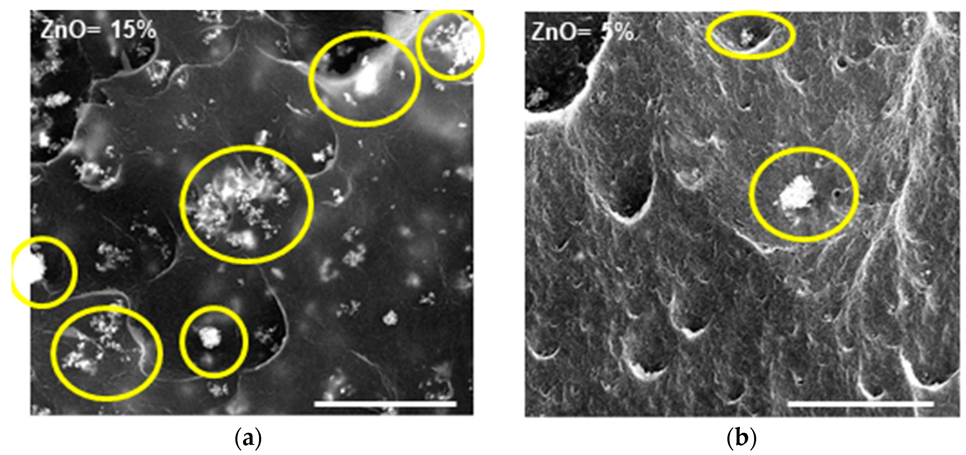 Nanomaterials 09 01509 g006