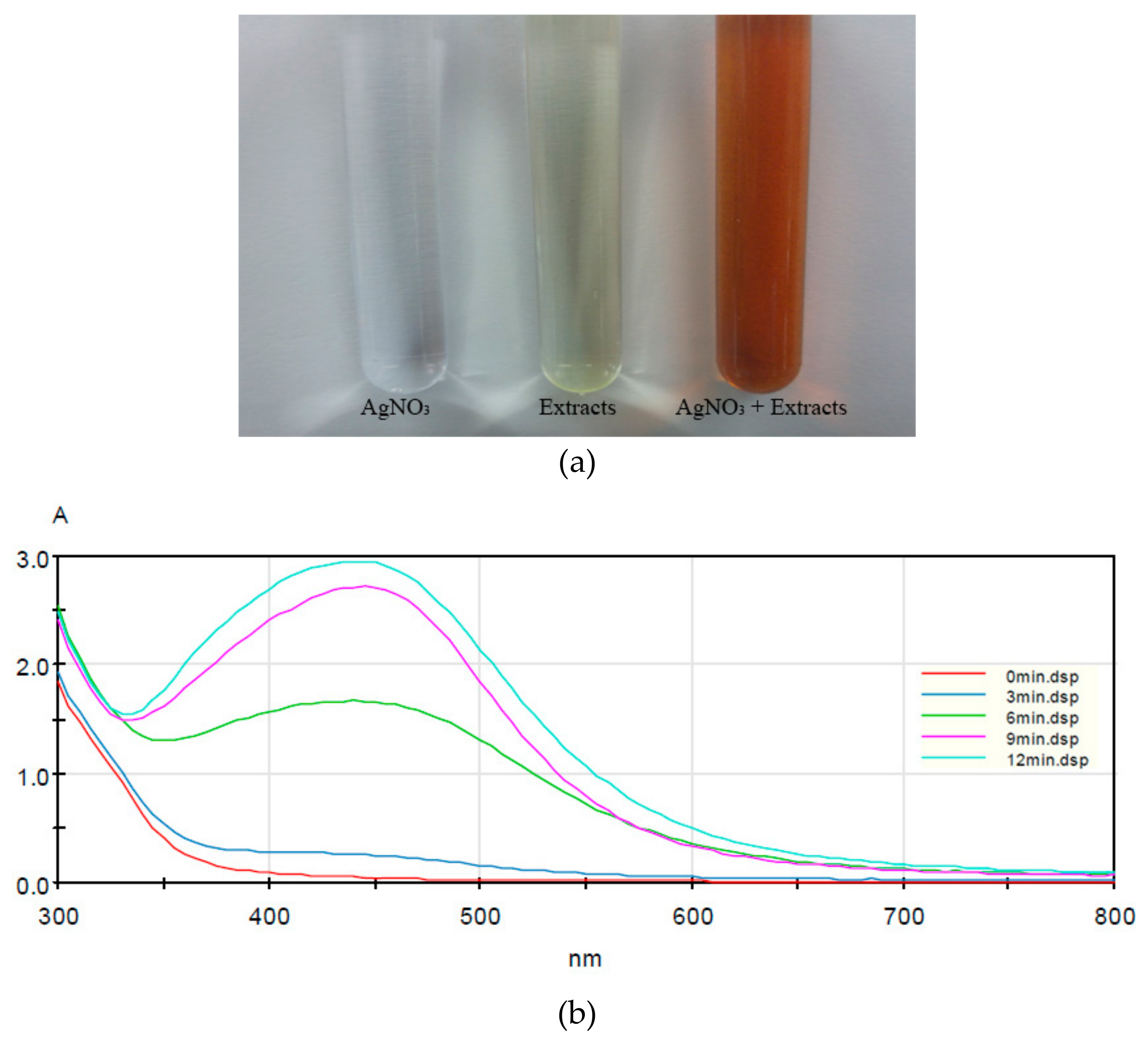 Nanomaterials 09 01512 g001 Nanomaterials 09 01512 g001