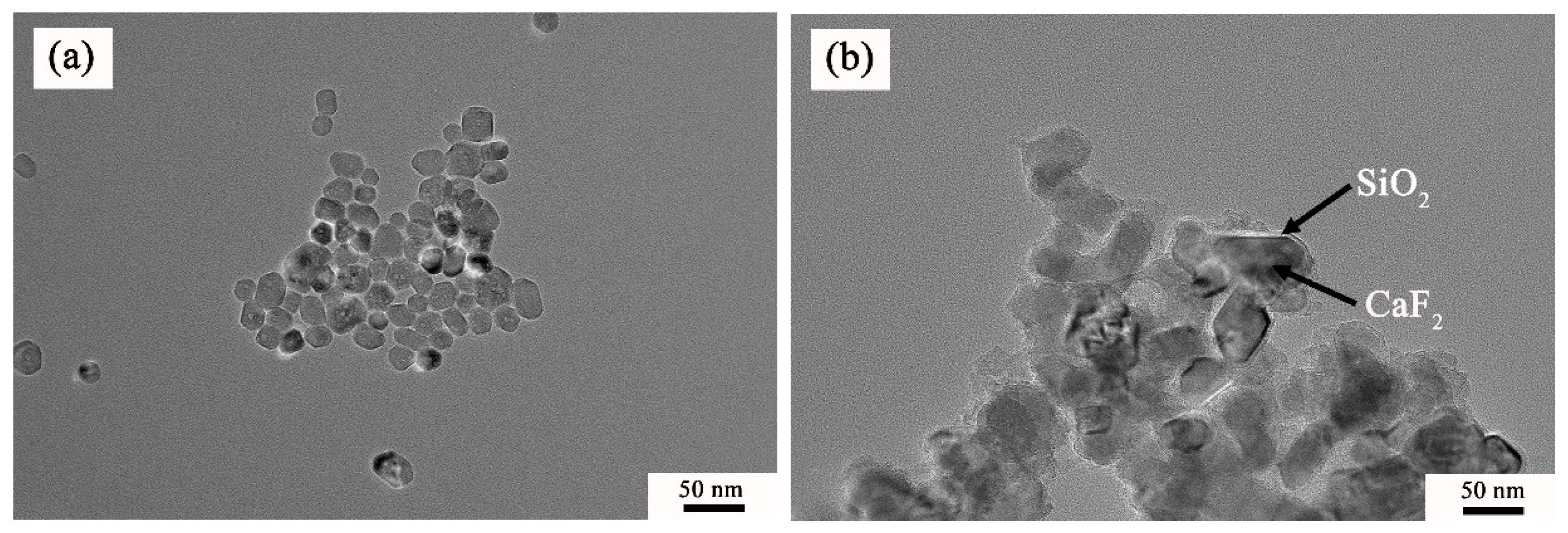 Nanomaterials 09 01522 g002
