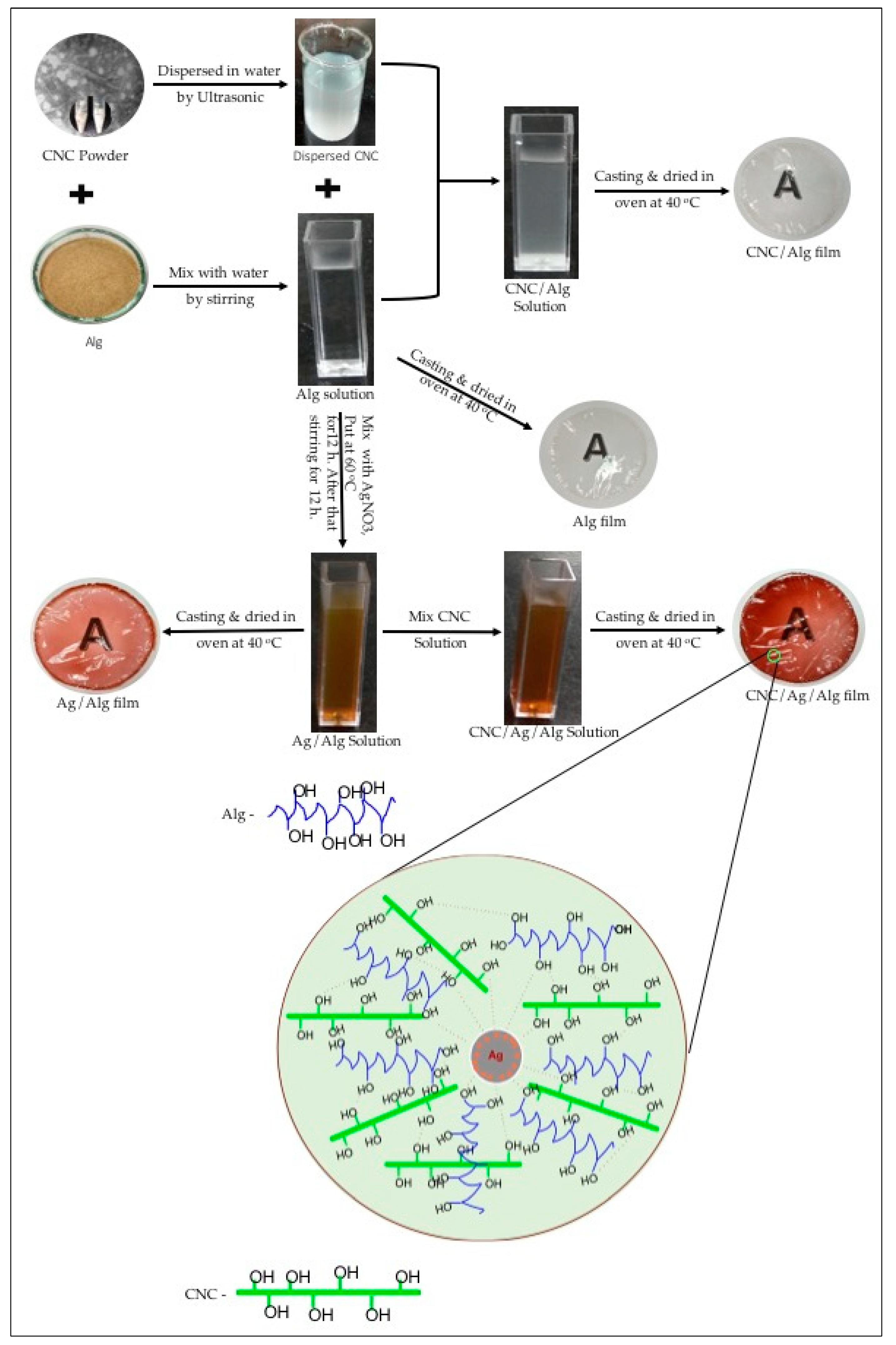 Nanomaterials 09 01523 g001