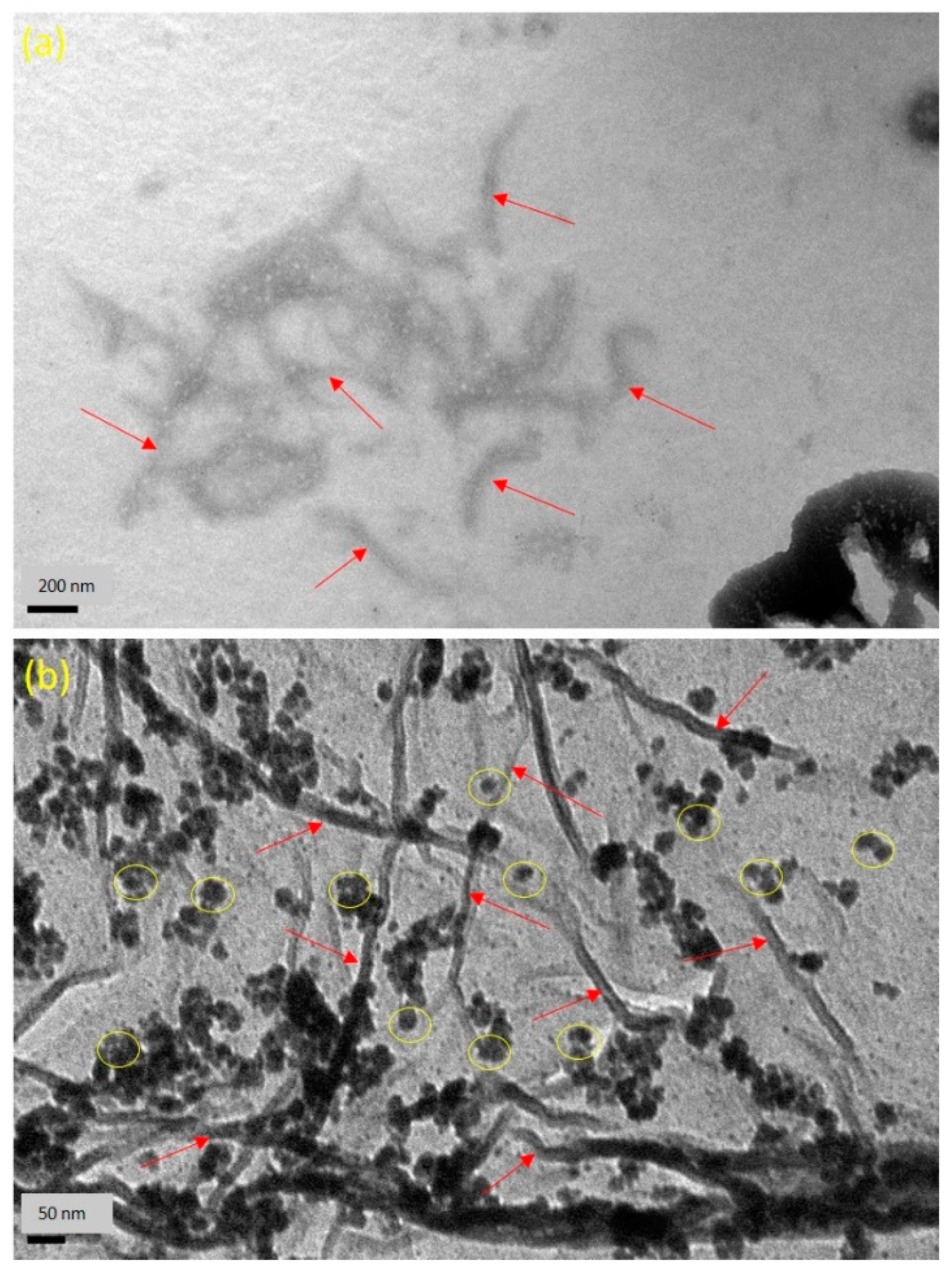 Nanomaterials 09 01523 g004