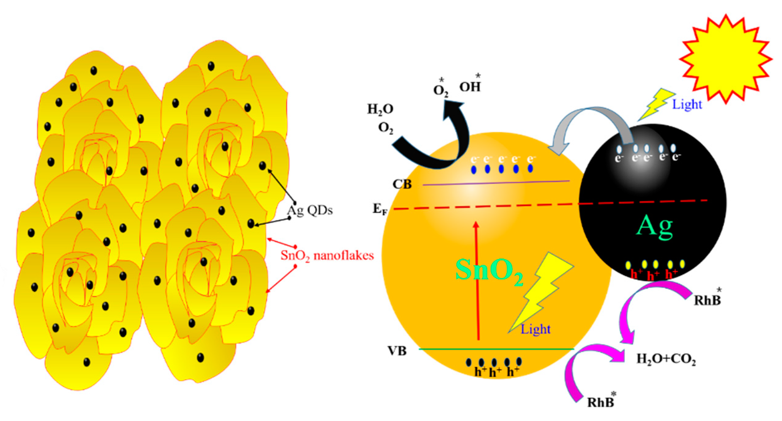 Nanomaterials 09 01536 g010