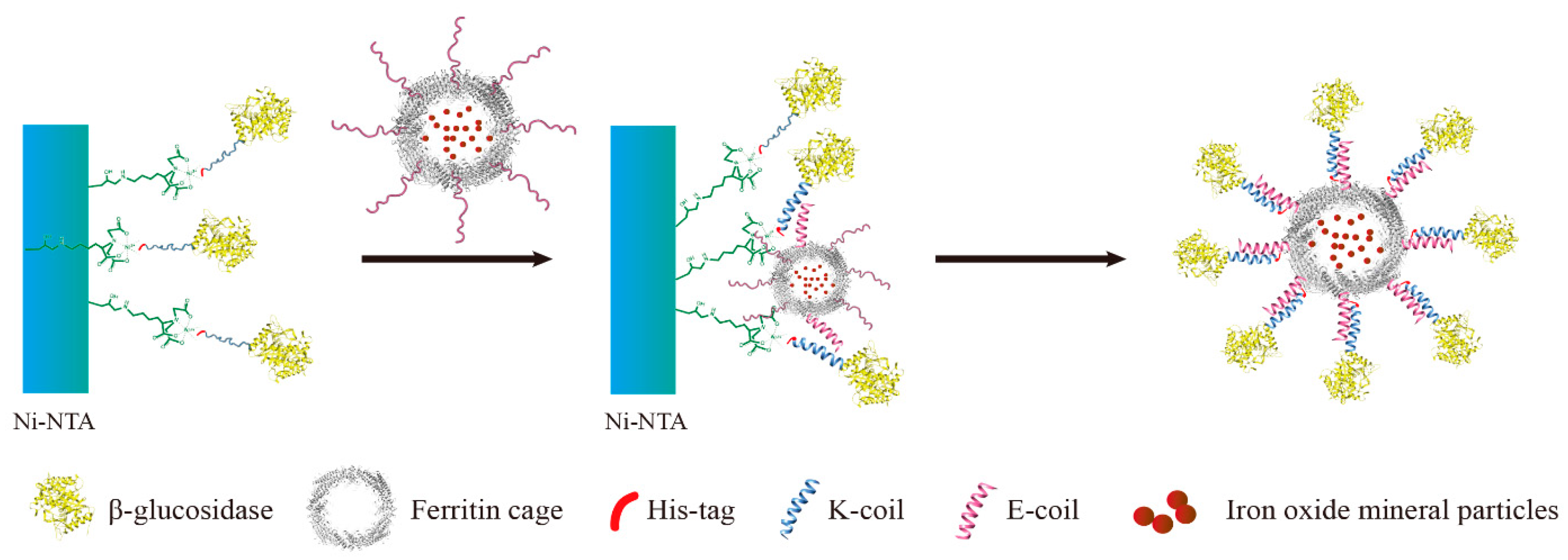 Nanomaterials 09 01558 g001