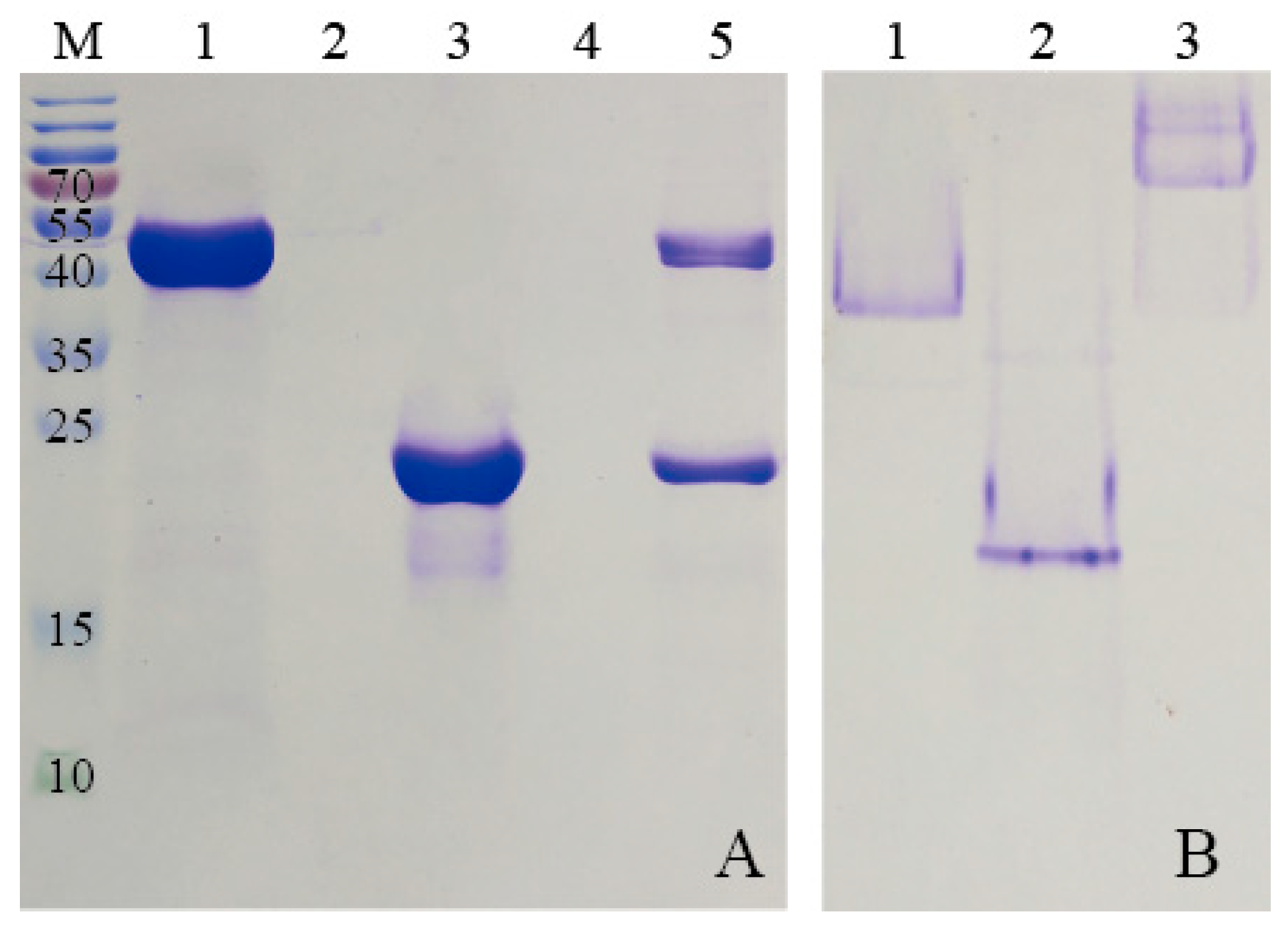 Nanomaterials 09 01558 g005
