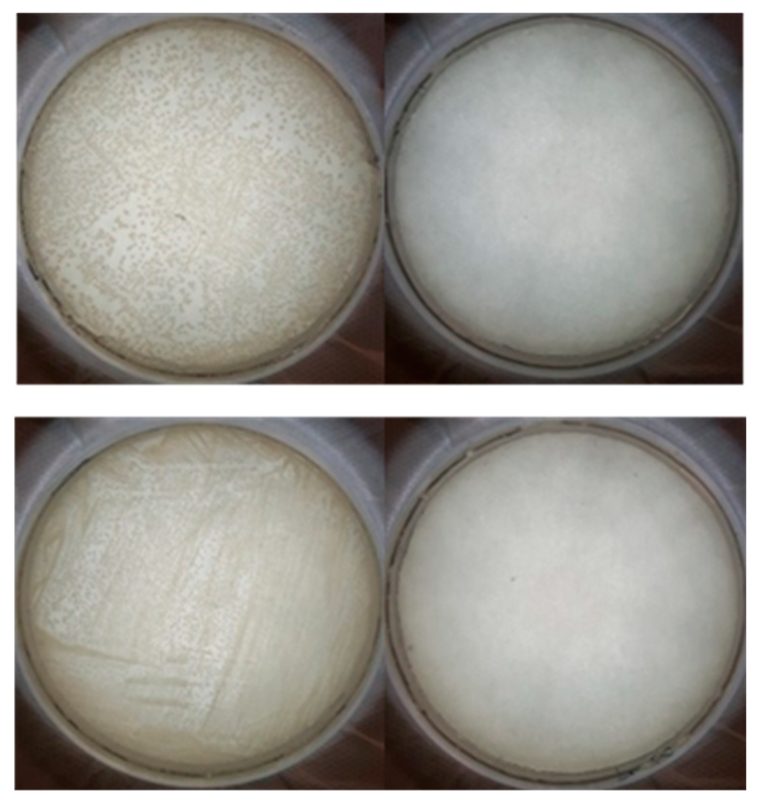 Nanomaterials 09 01563 g005