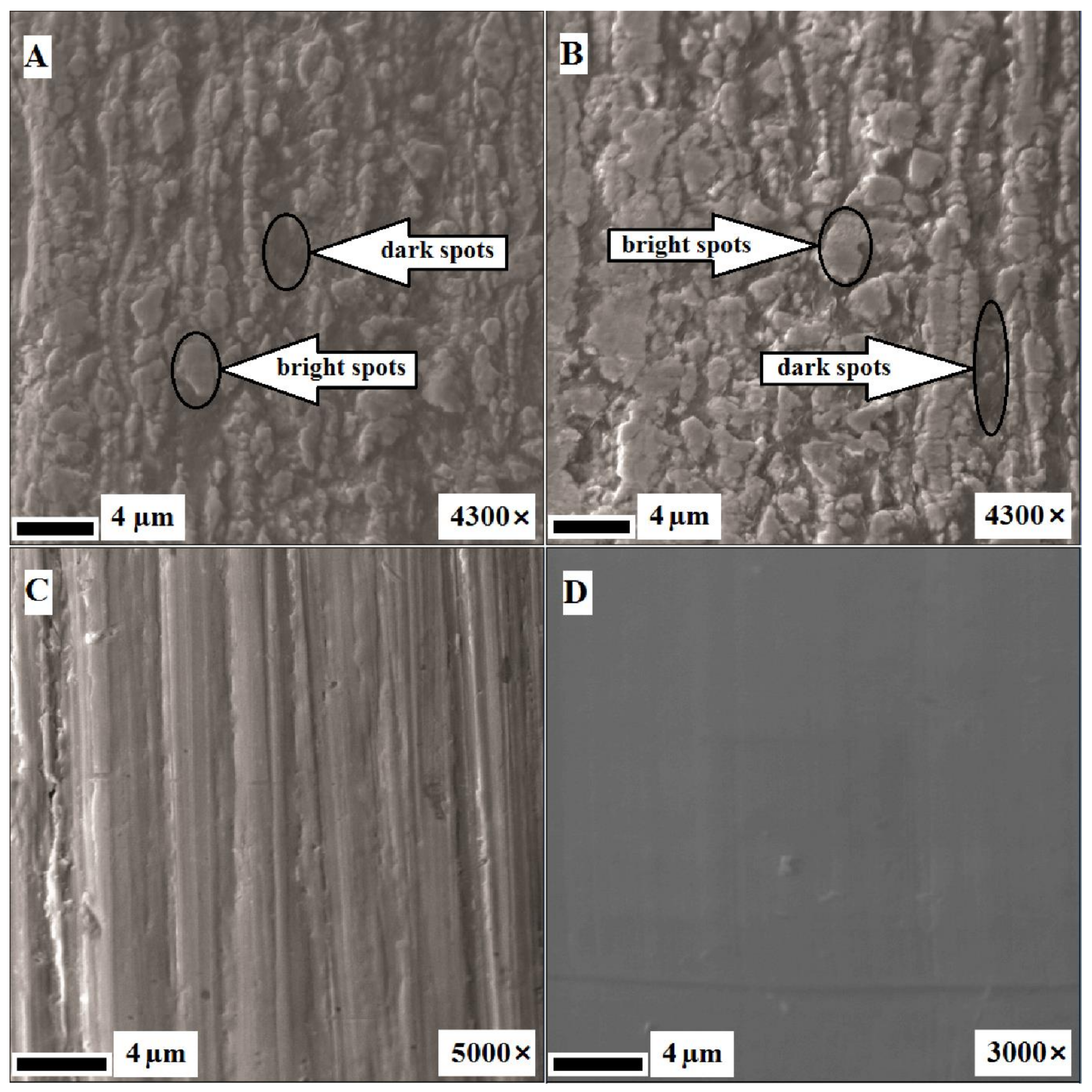 Nanomaterials 09 01569 g002