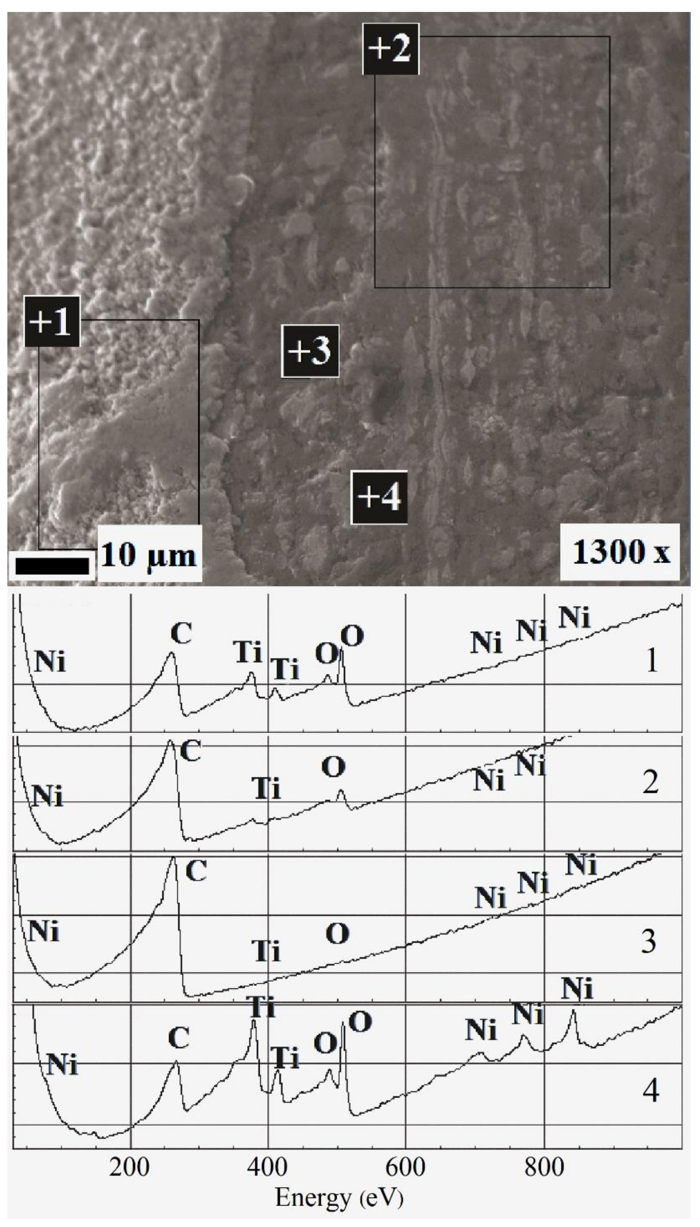 Nanomaterials 09 01569 g006