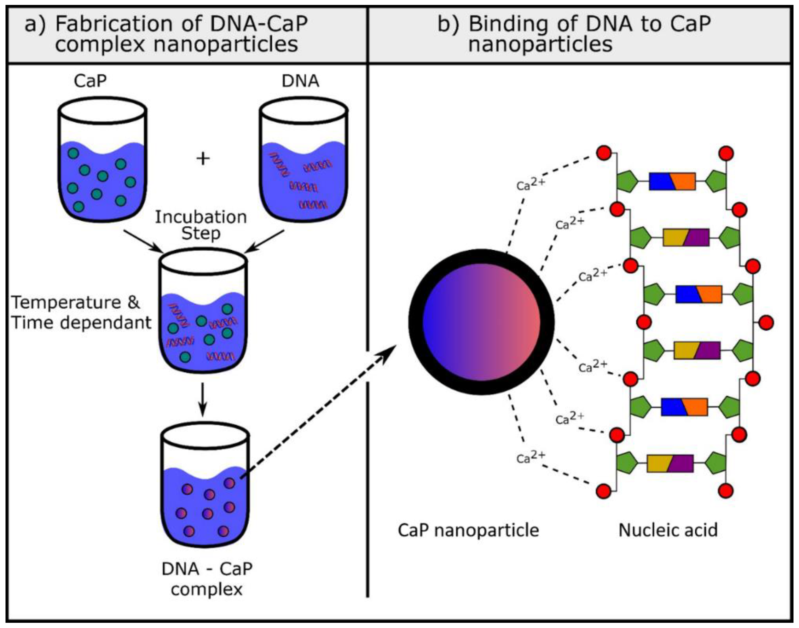 Nanomaterials 09 01570 g002