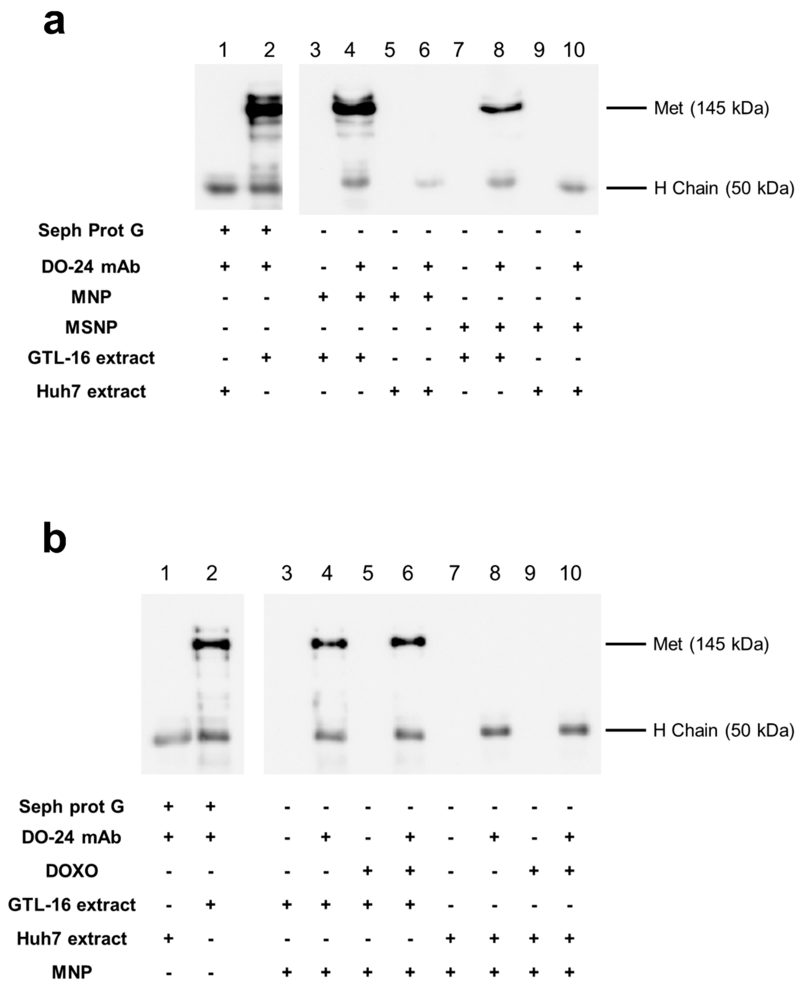 Nanomaterials 09 01575 g005