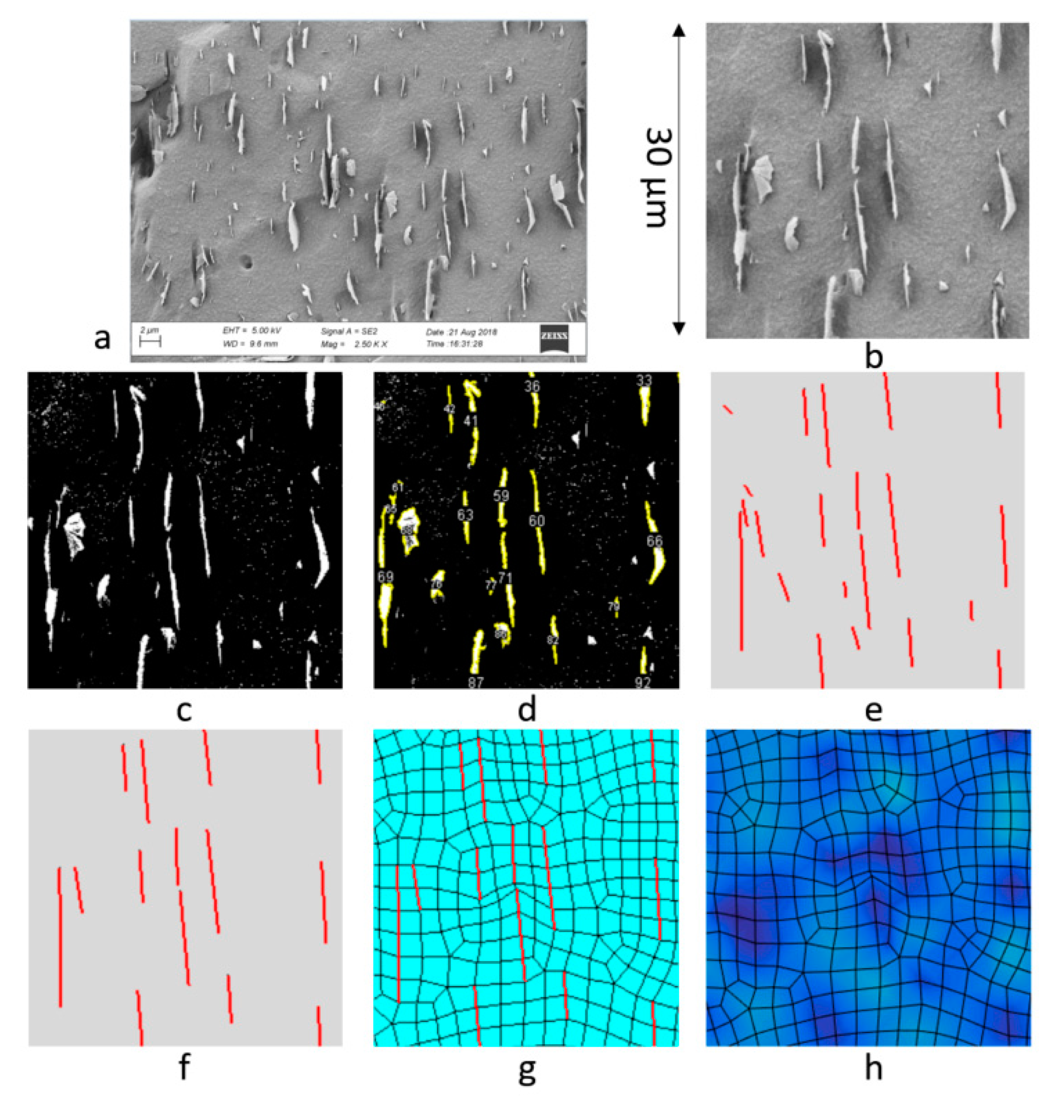 Nanomaterials 09 01578 g001
