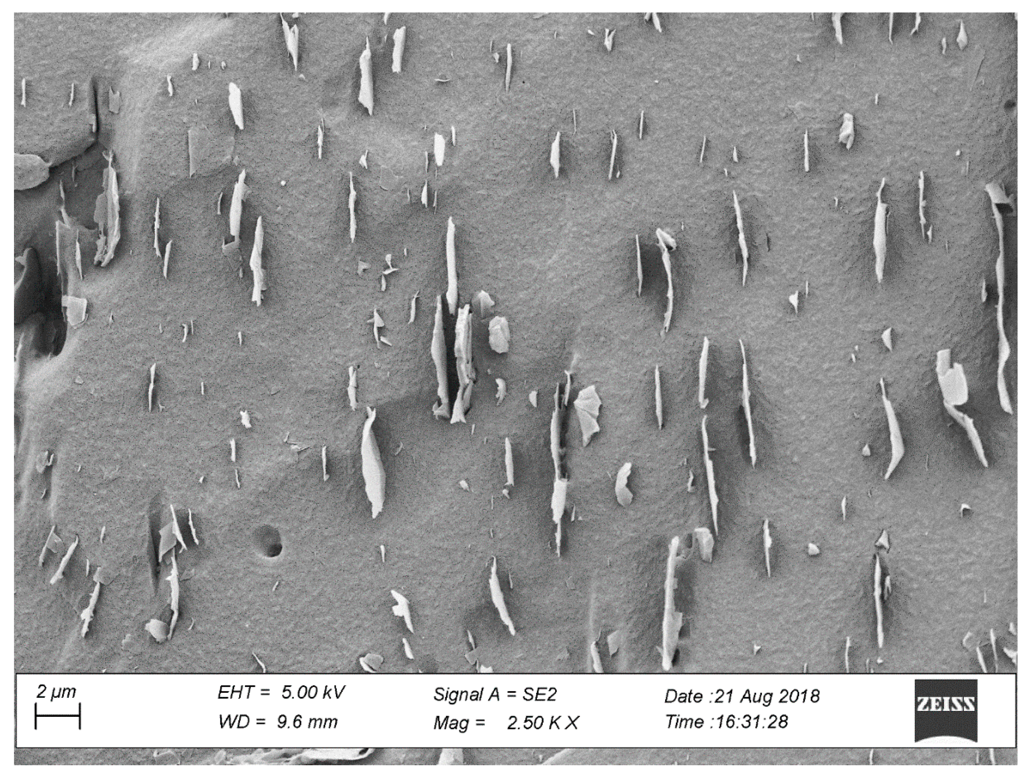 Nanomaterials 09 01578 g006