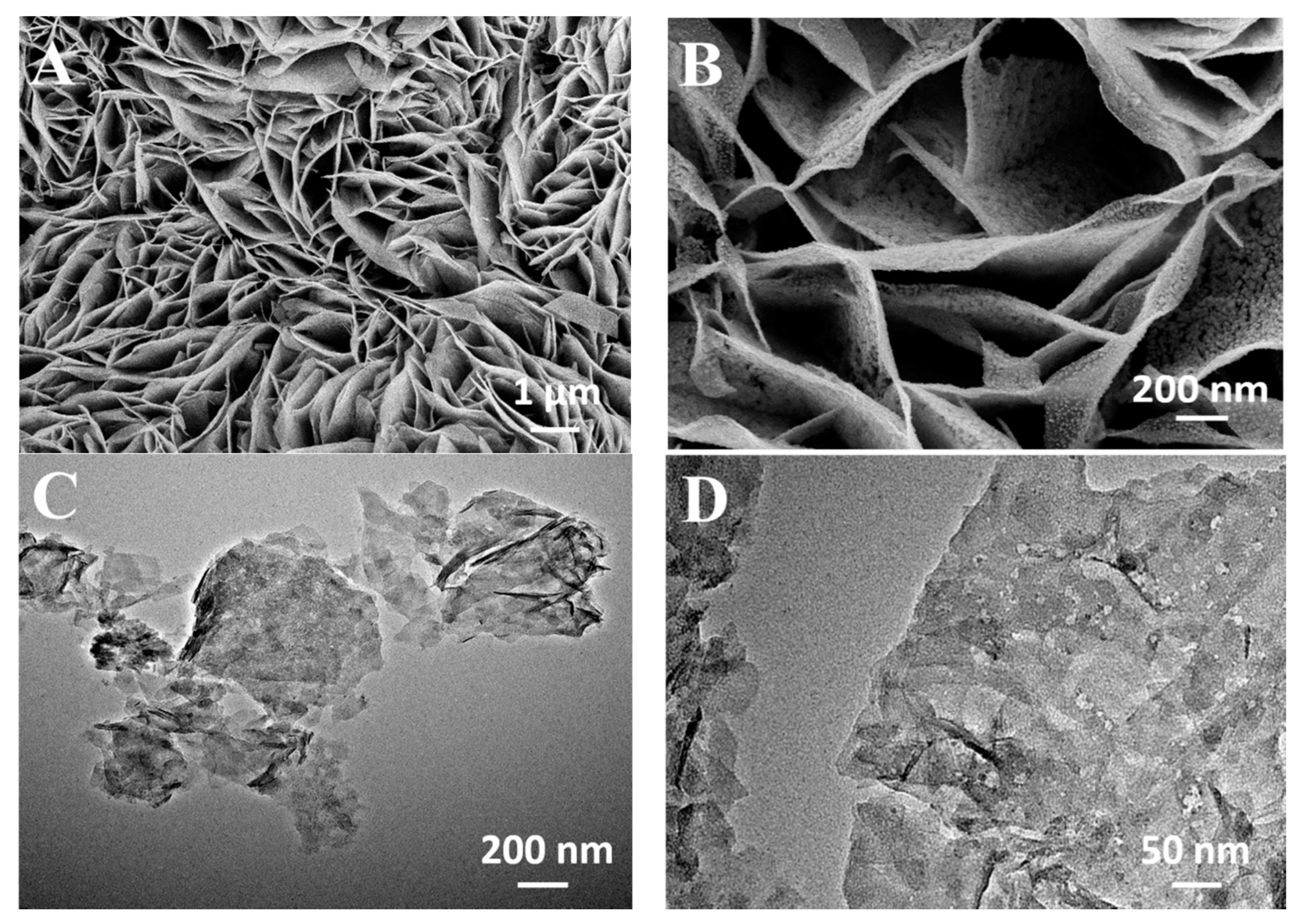 Nanomaterials 09 01583 g003