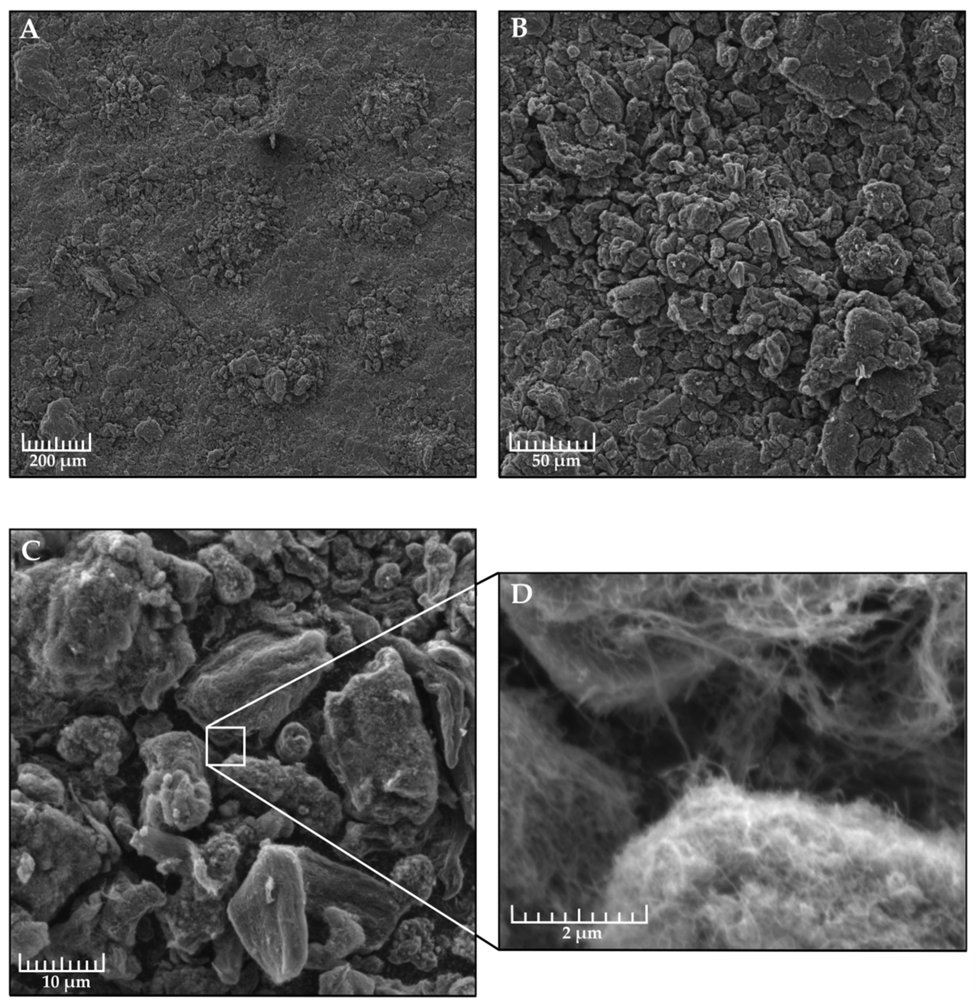 Nanomaterials 09 01584 g005