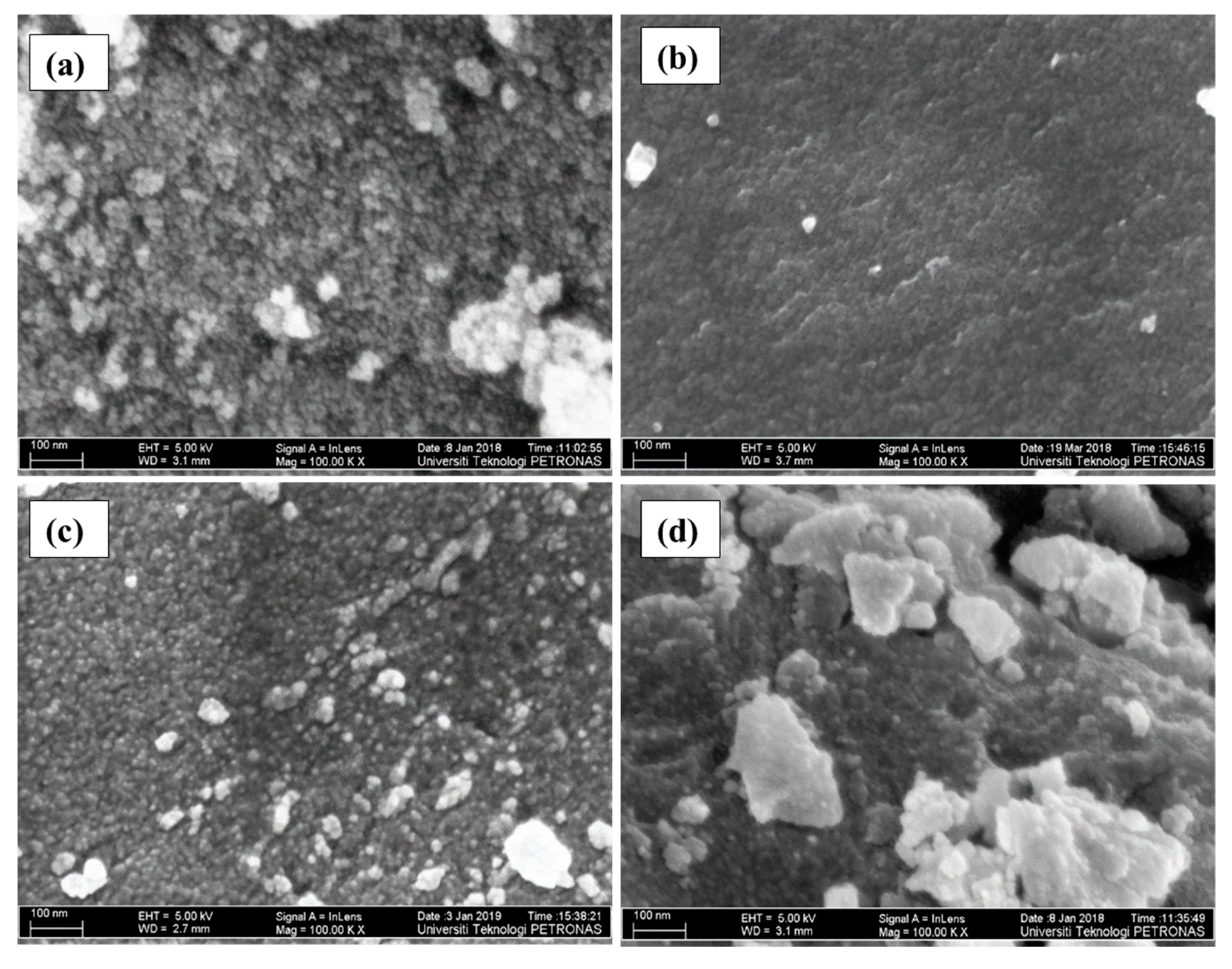 Nanomaterials 09 01586 g005