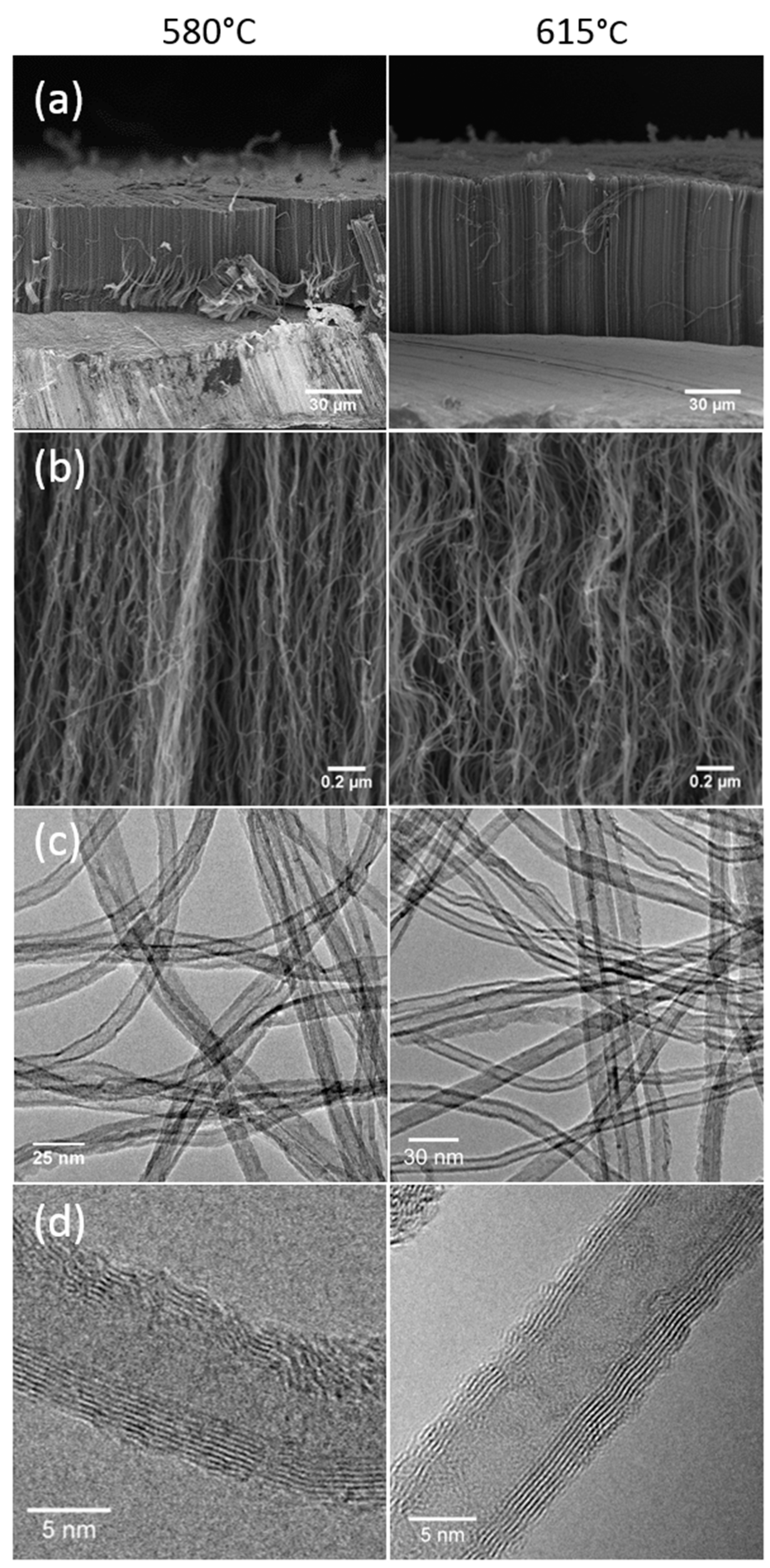 Nanomaterials 09 01590 g002