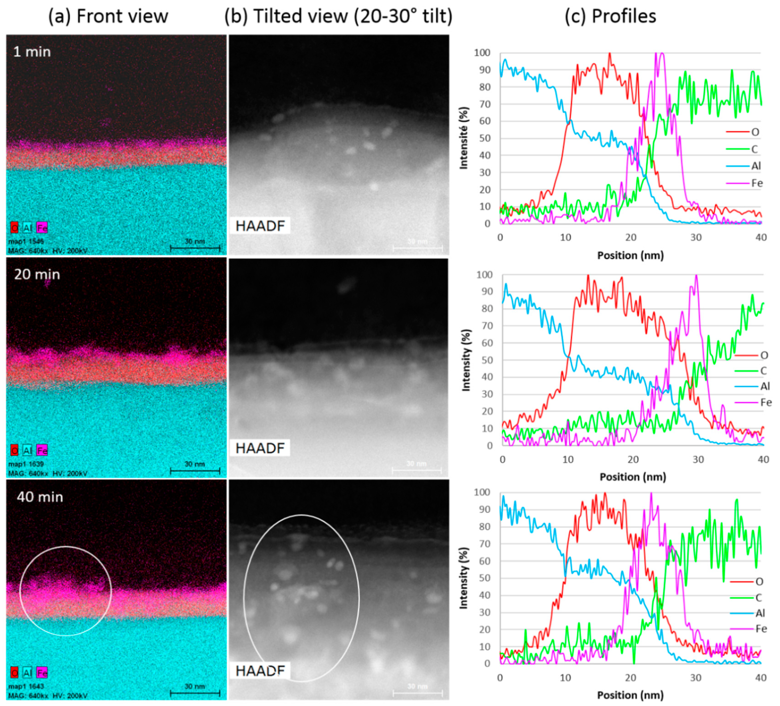 Nanomaterials 09 01590 g005