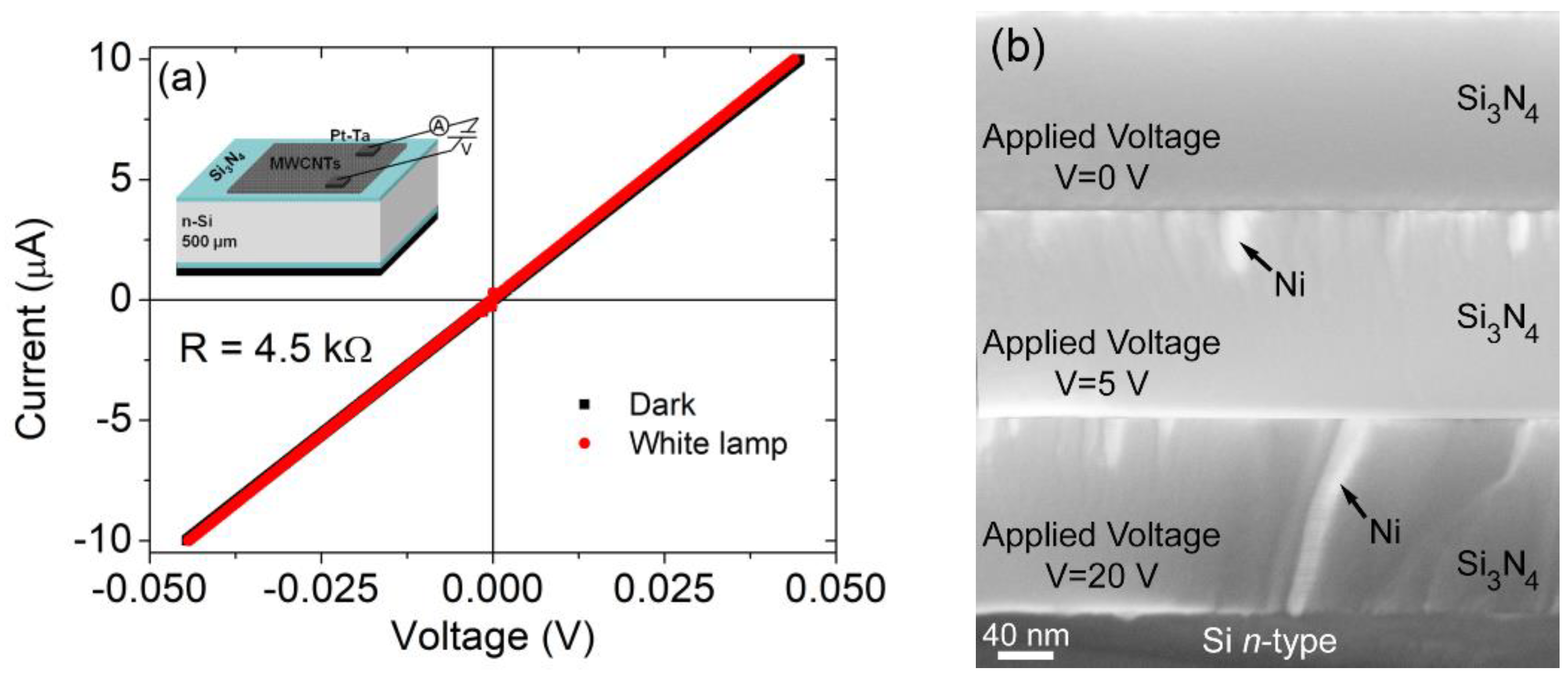 Nanomaterials 09 01598 g002
