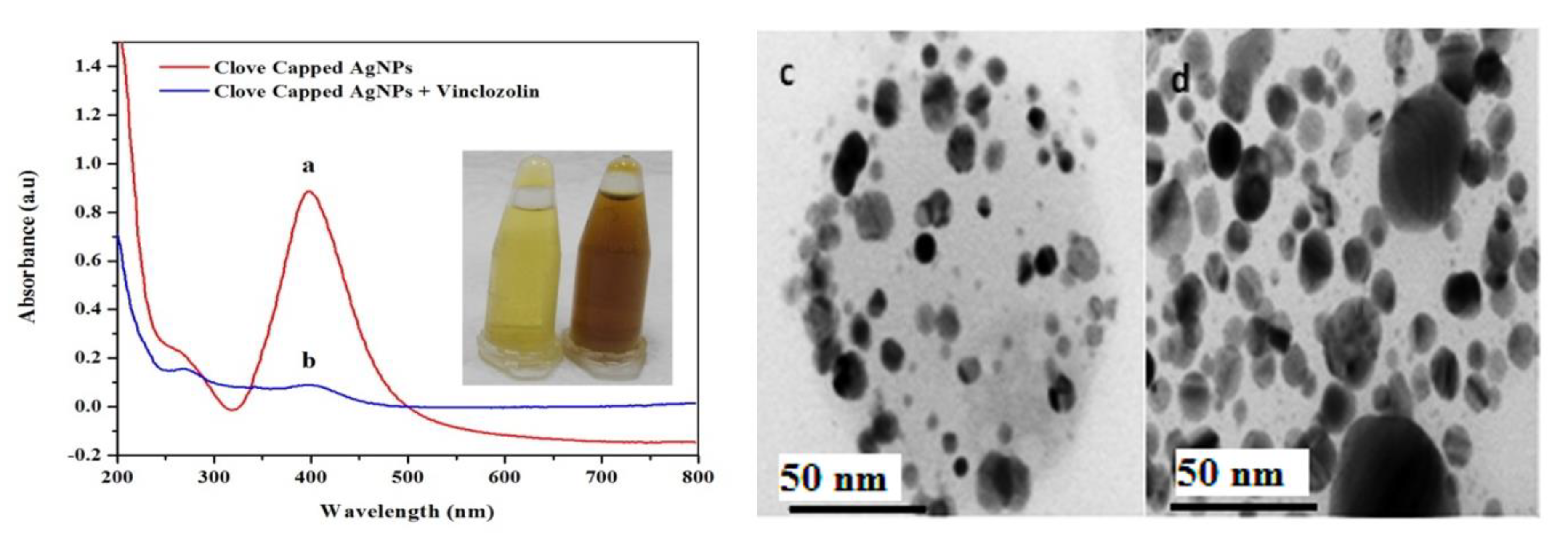 Nanomaterials 09 01604 g003 Nanomaterials 09 01604 g003