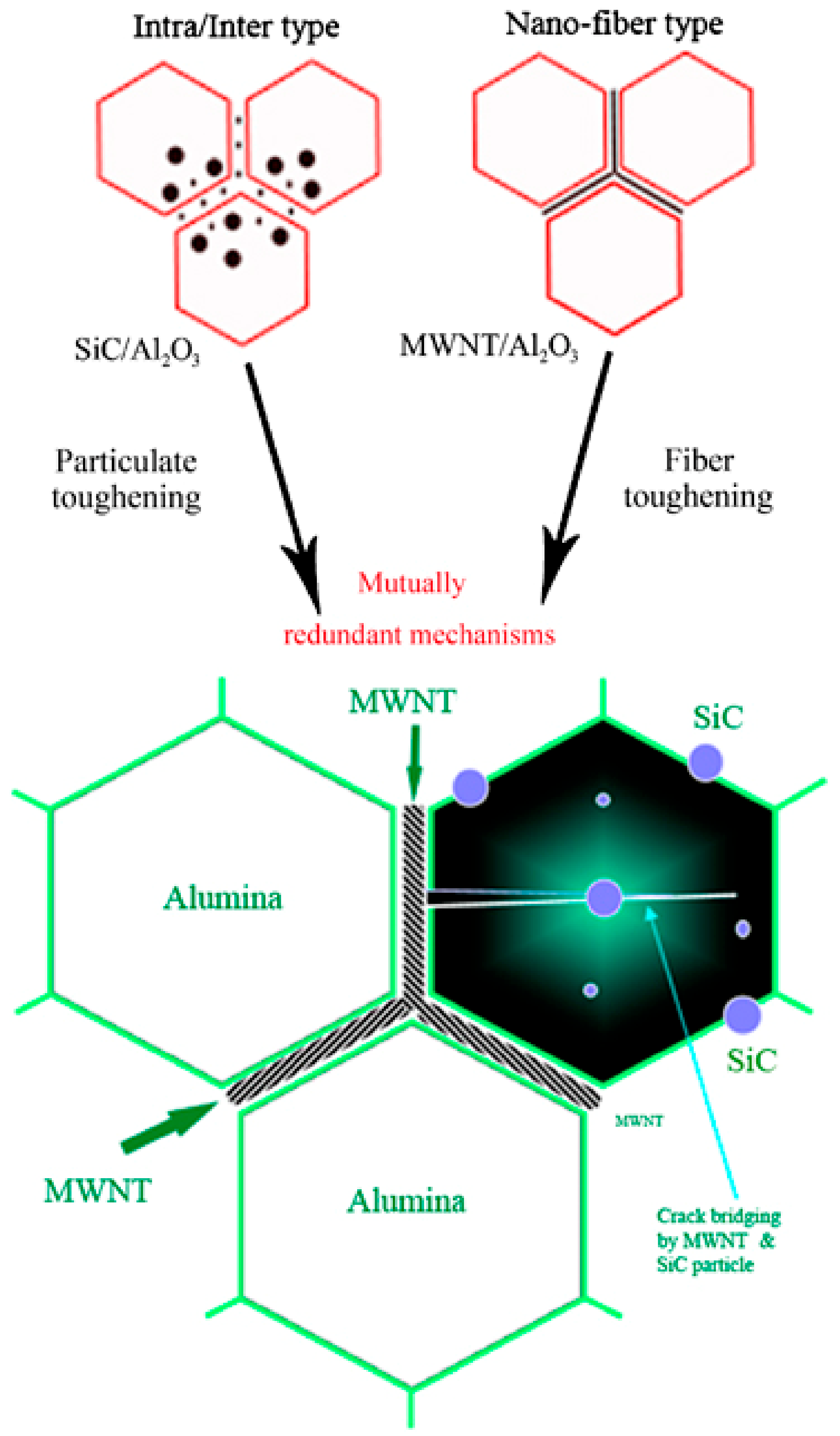 Nanomaterials 09 01607 g002