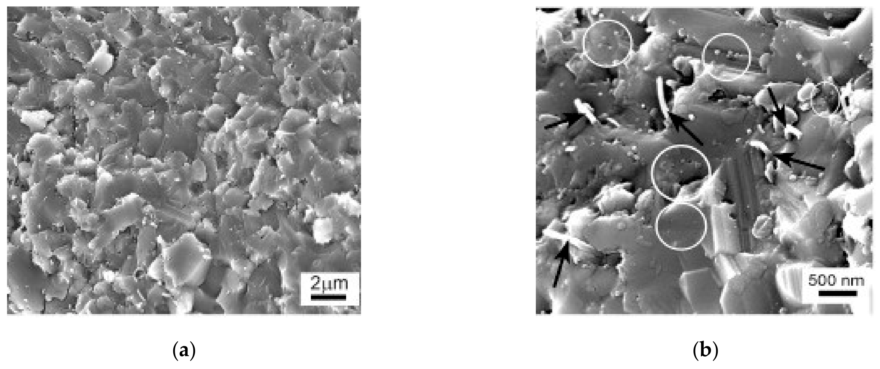 Nanomaterials 09 01607 g006