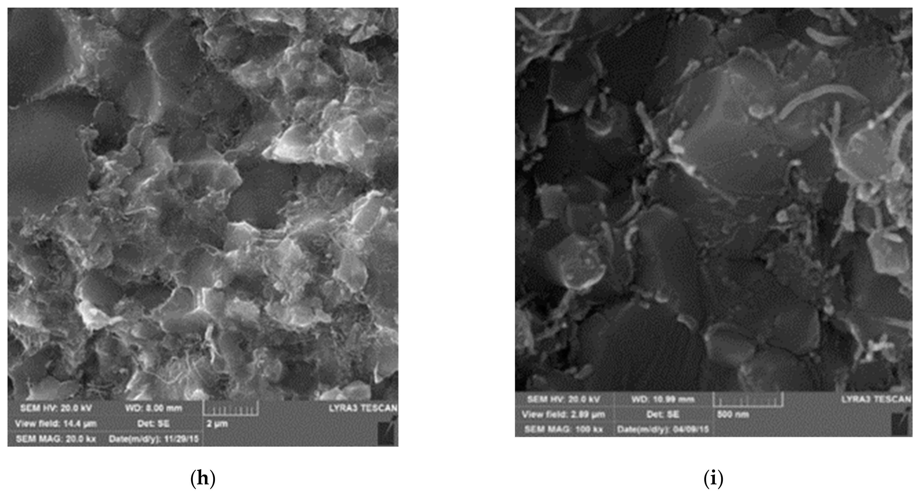 Nanomaterials 09 01607 g010b