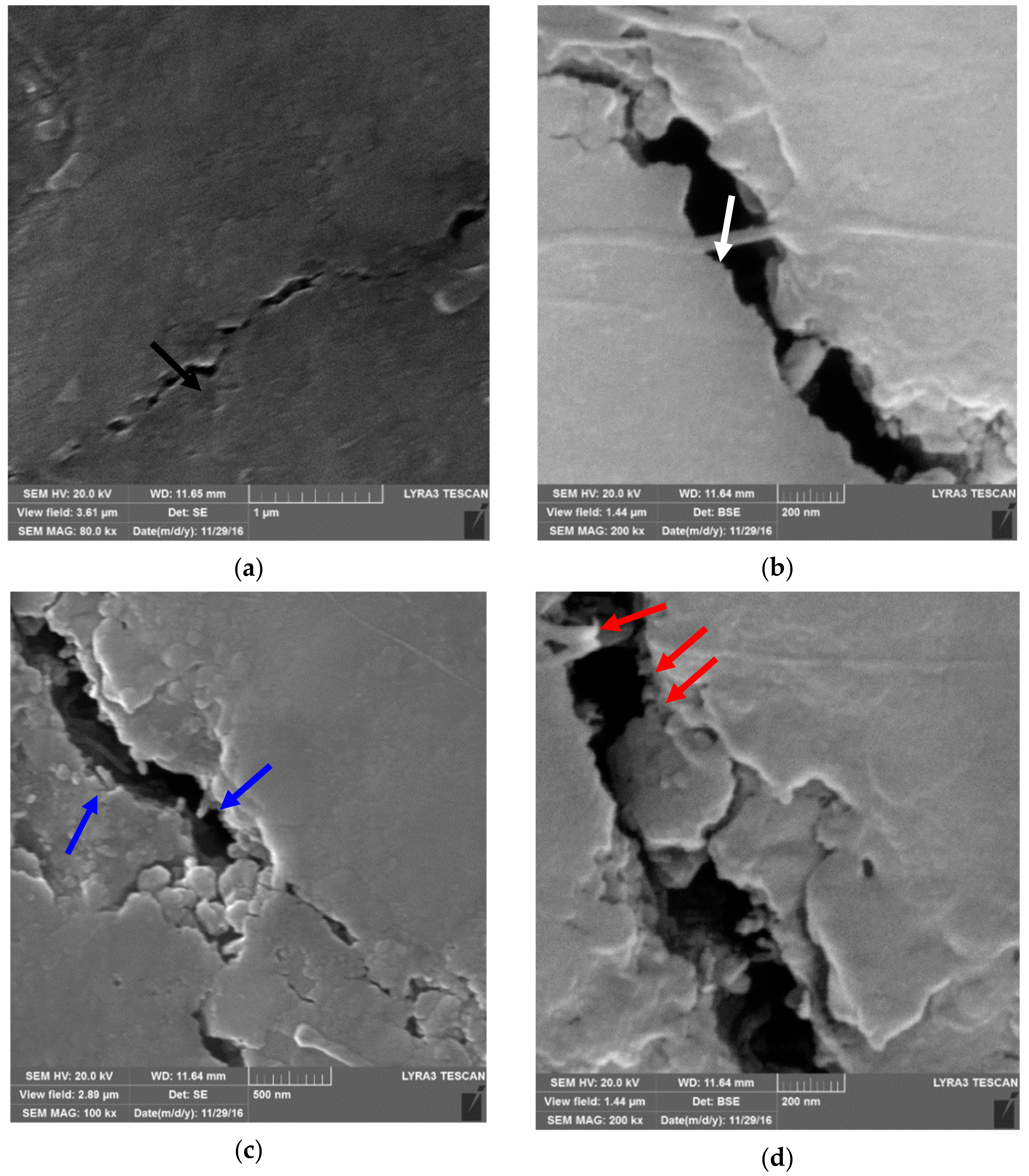 Nanomaterials 09 01607 g013