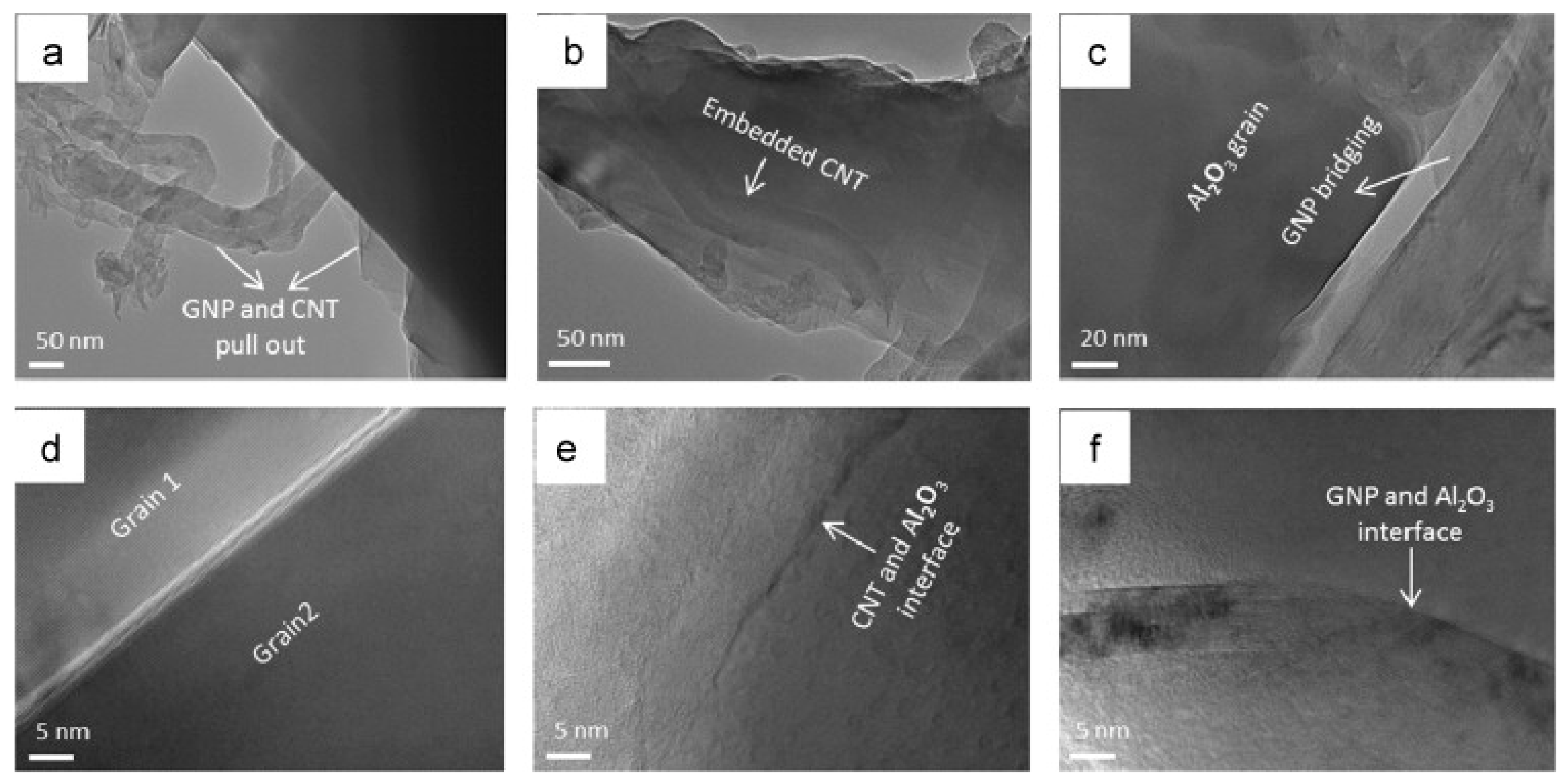 Nanomaterials 09 01607 g018
