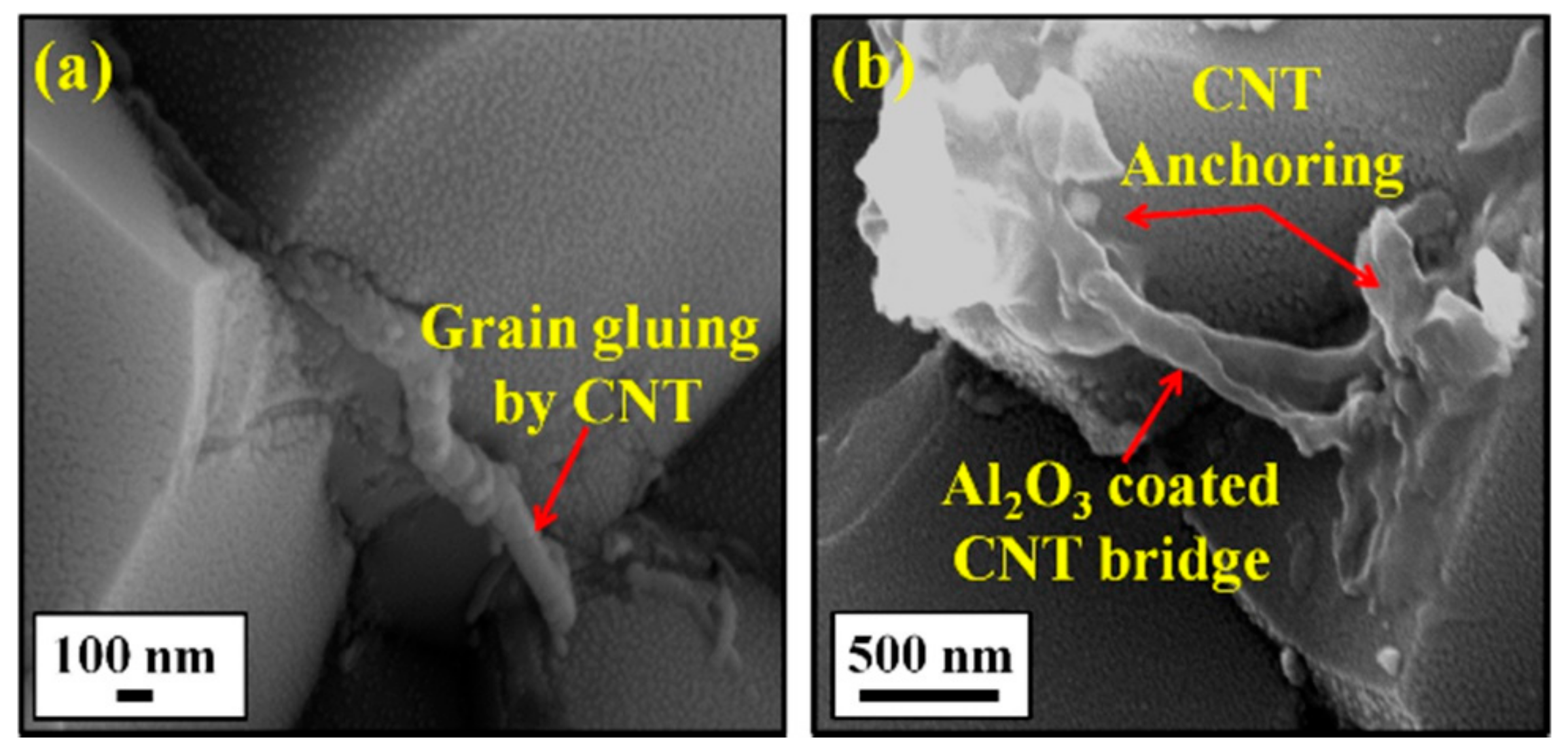 Nanomaterials 09 01607 g019