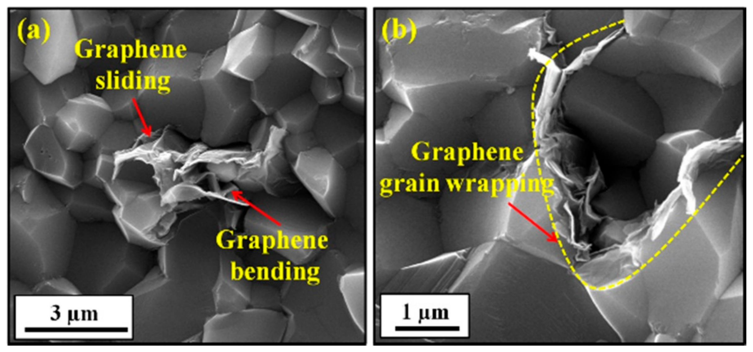 Nanomaterials 09 01607 g020