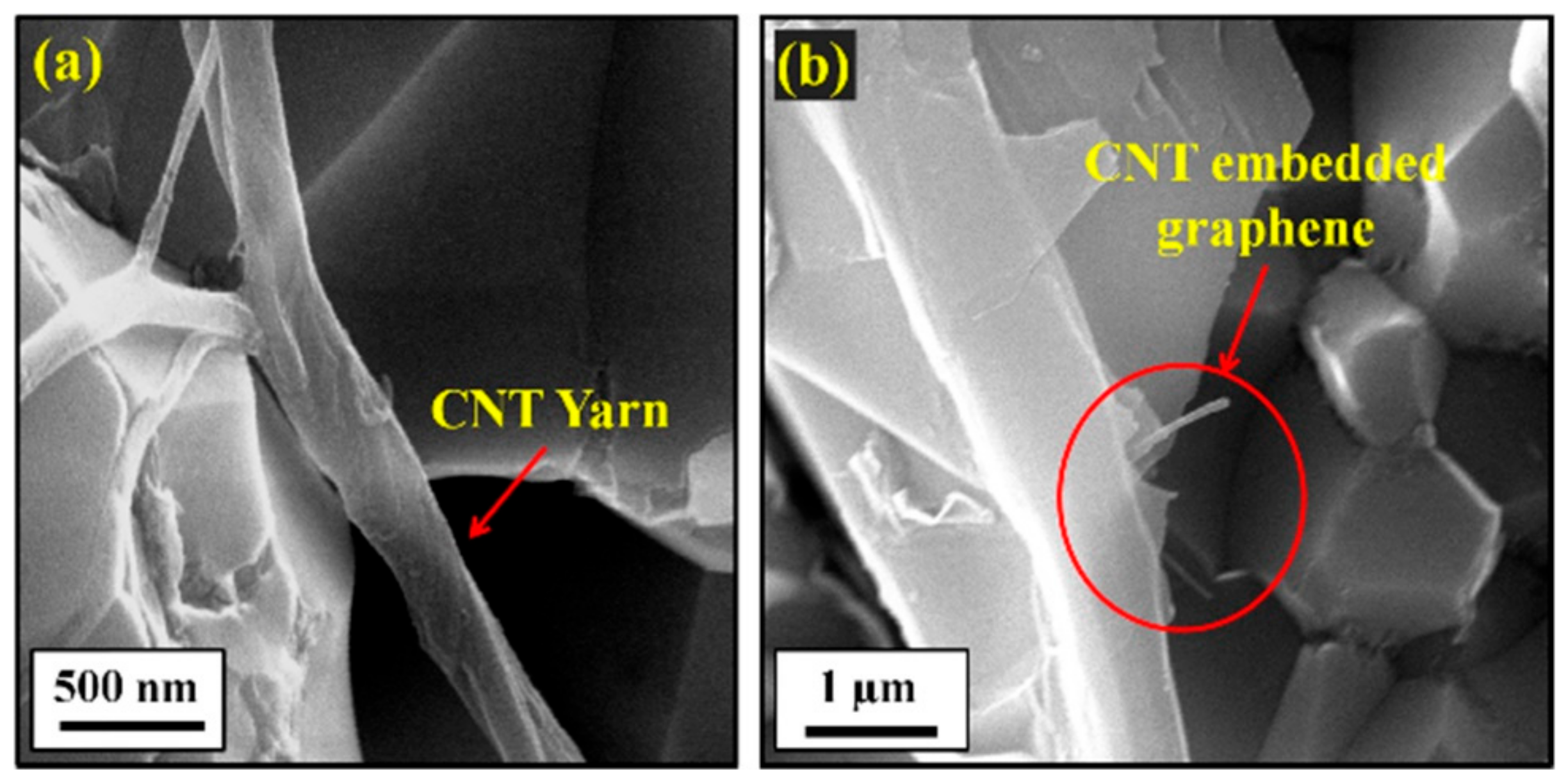 Nanomaterials 09 01607 g021