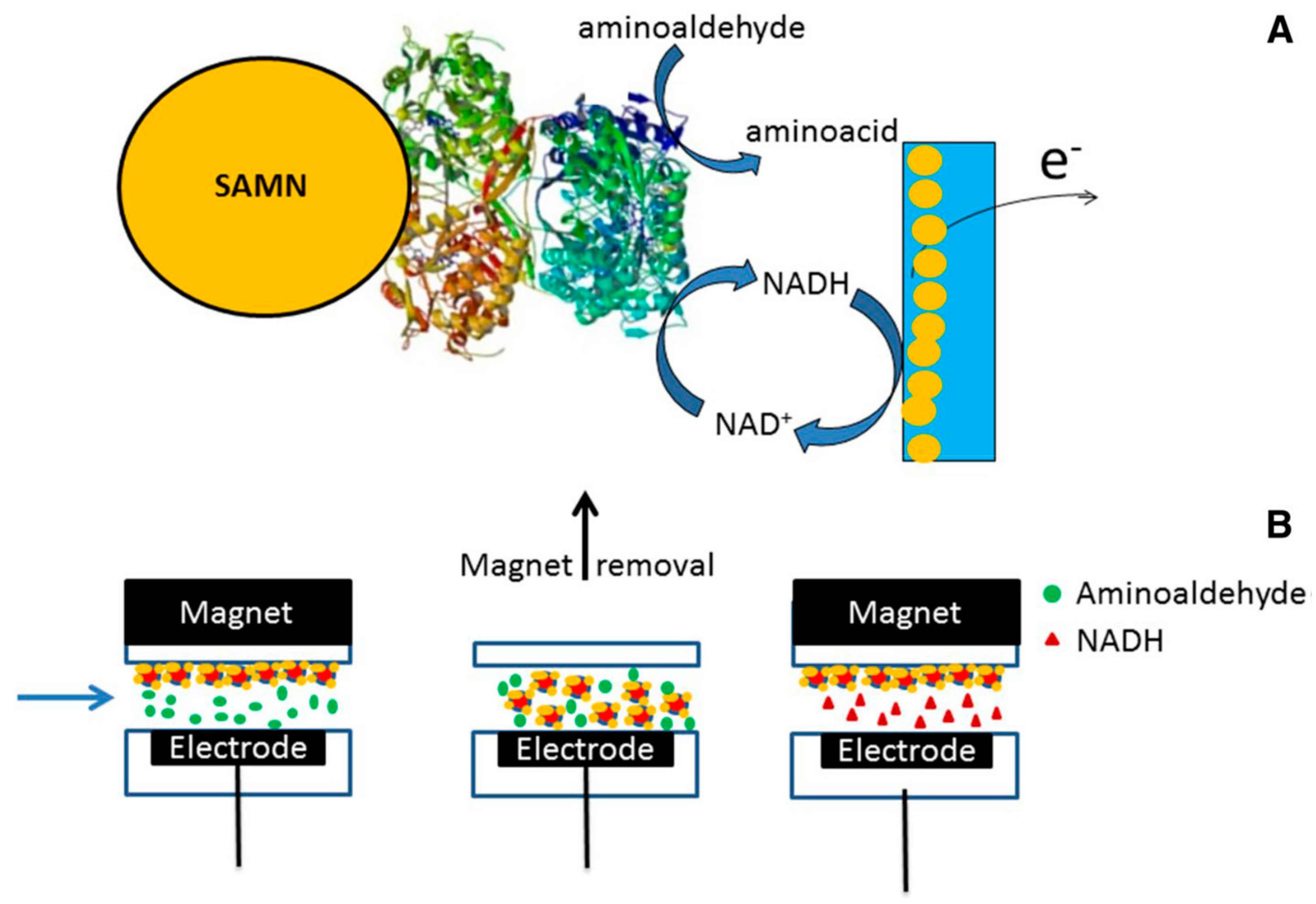 Nanomaterials 09 01608 g002 Nanomaterials 09 01608 g002