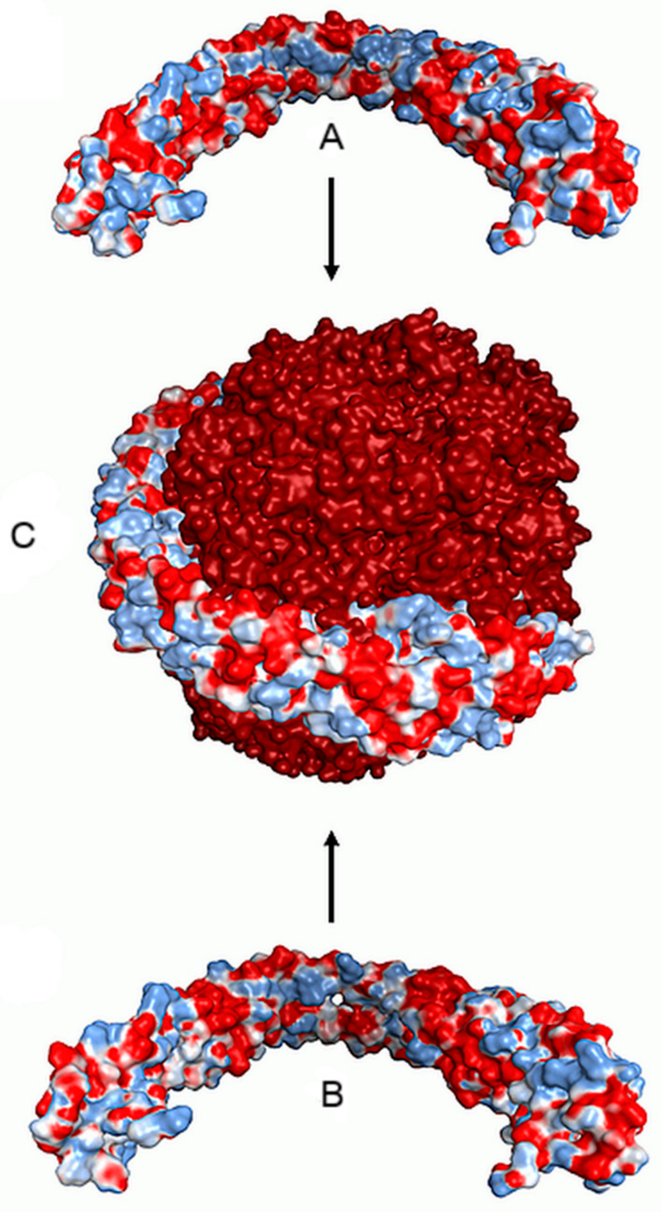 Nanomaterials 09 01608 g006 Nanomaterials 09 01608 g006