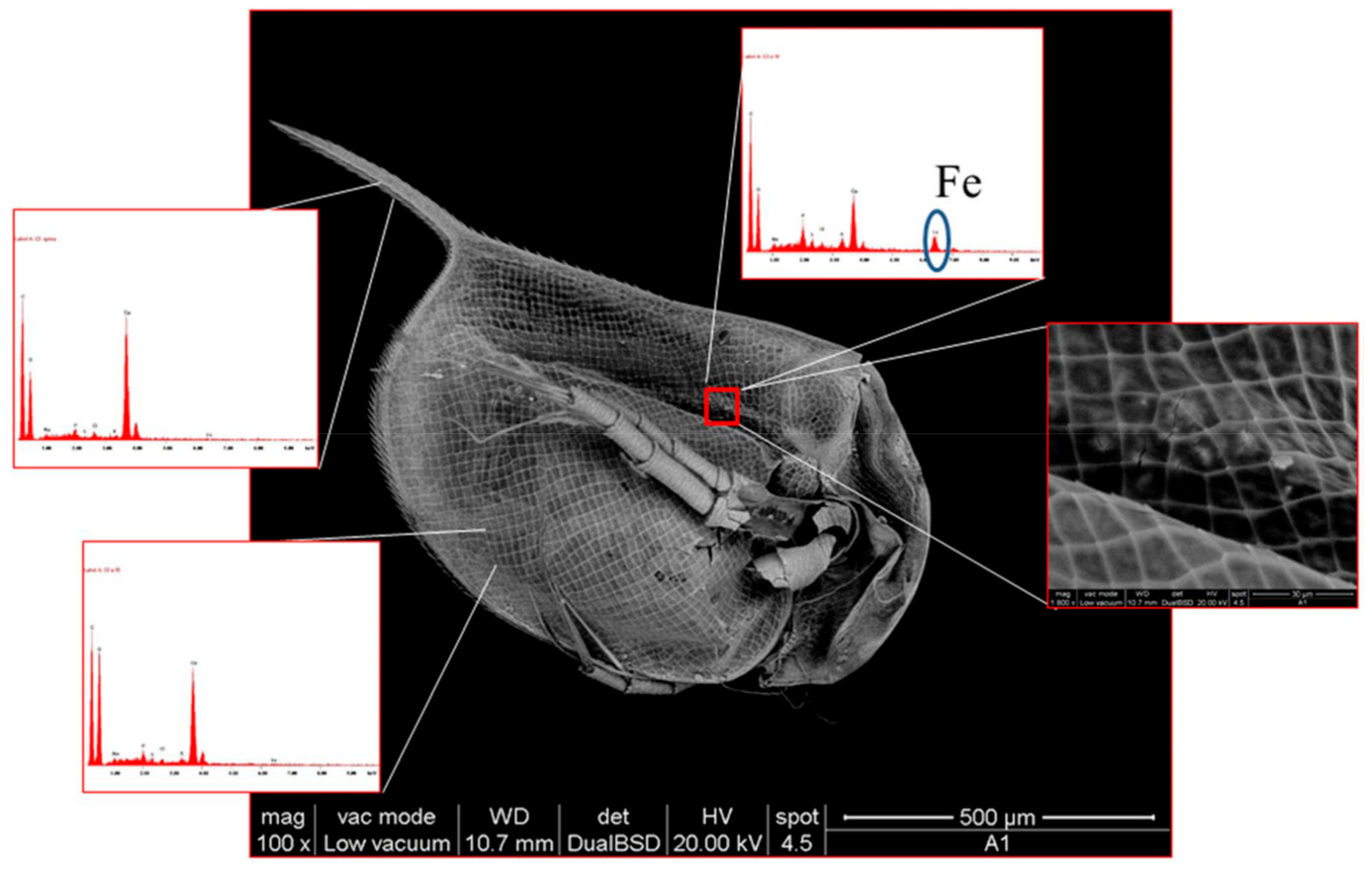 Nanomaterials 09 01608 g007 Nanomaterials 09 01608 g007