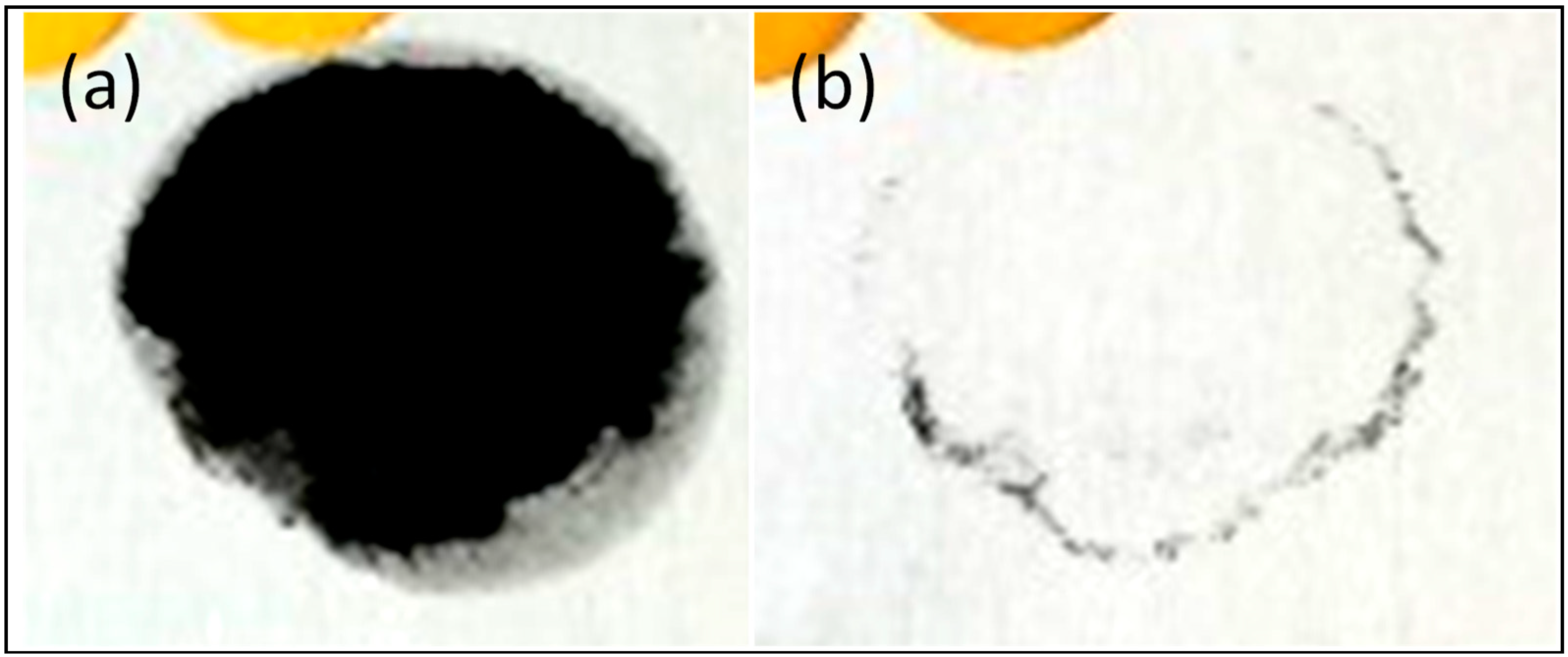 Nanomaterials 09 01610 g001