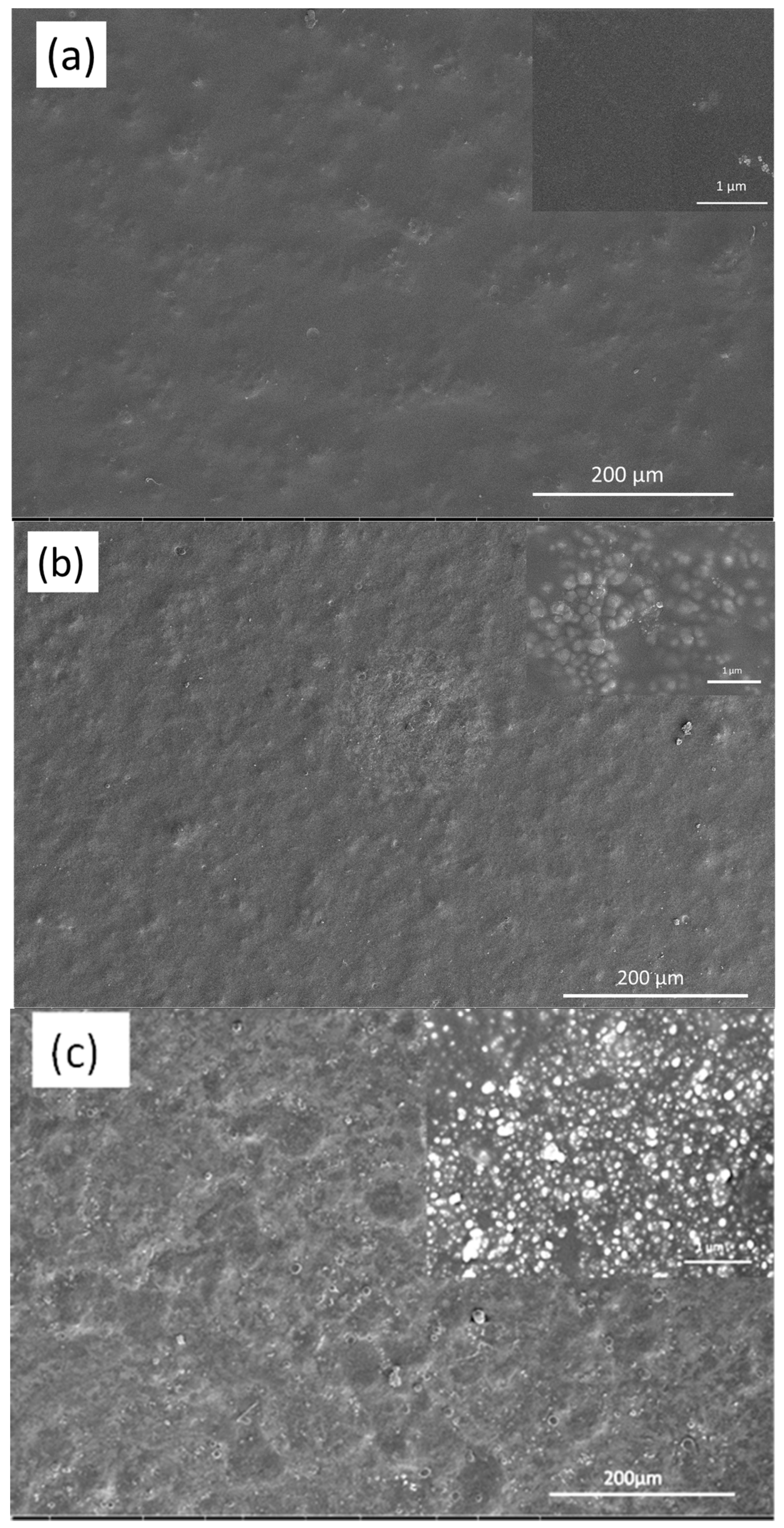 Nanomaterials 09 01610 g006