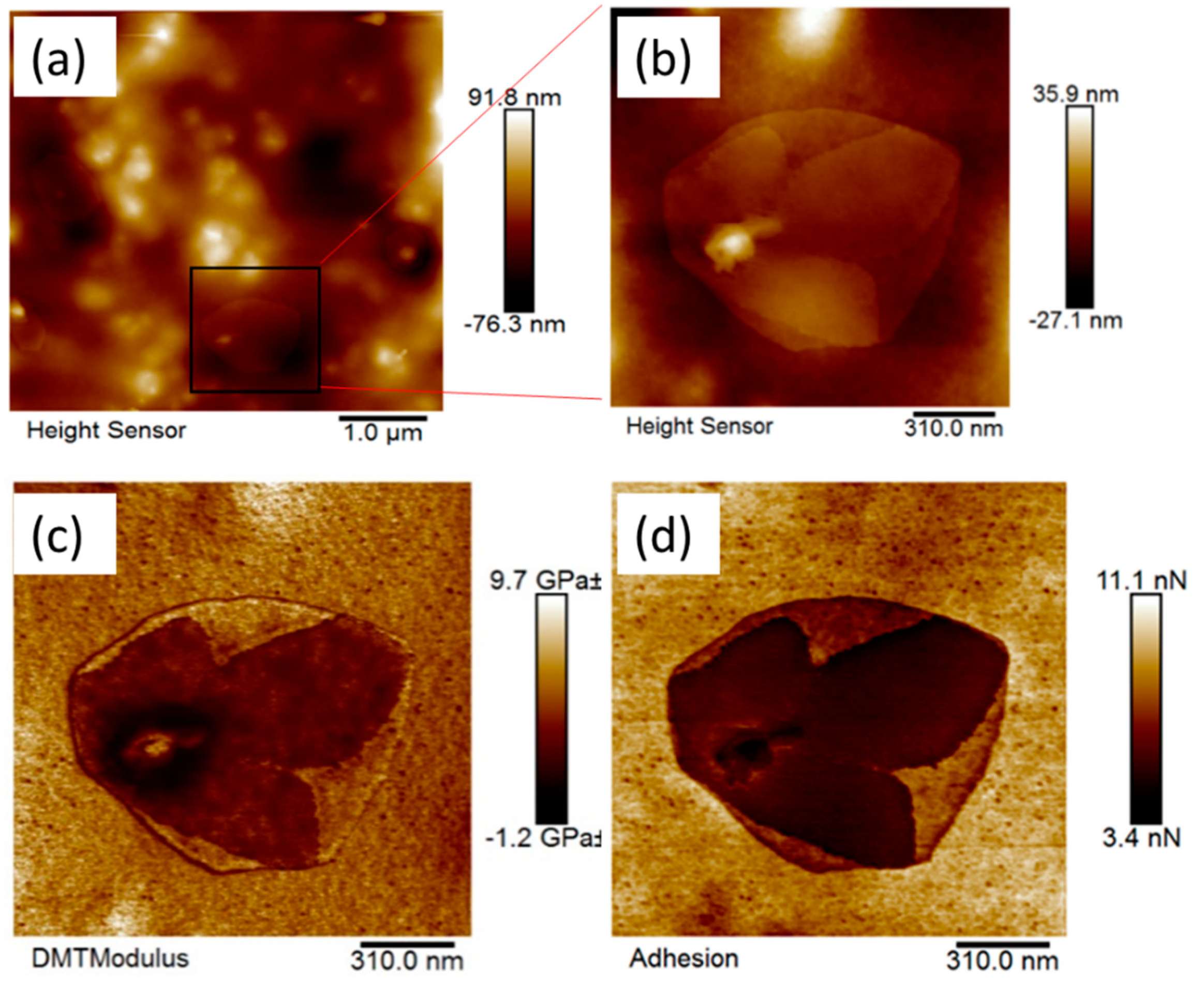 Nanomaterials 09 01610 g008