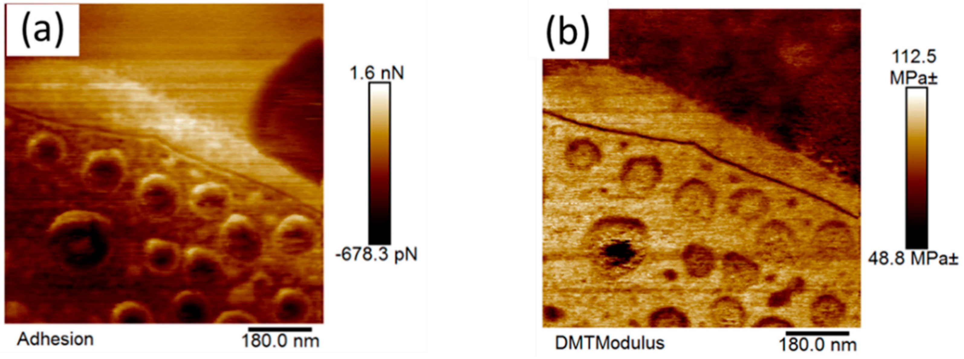 Nanomaterials 09 01610 g009