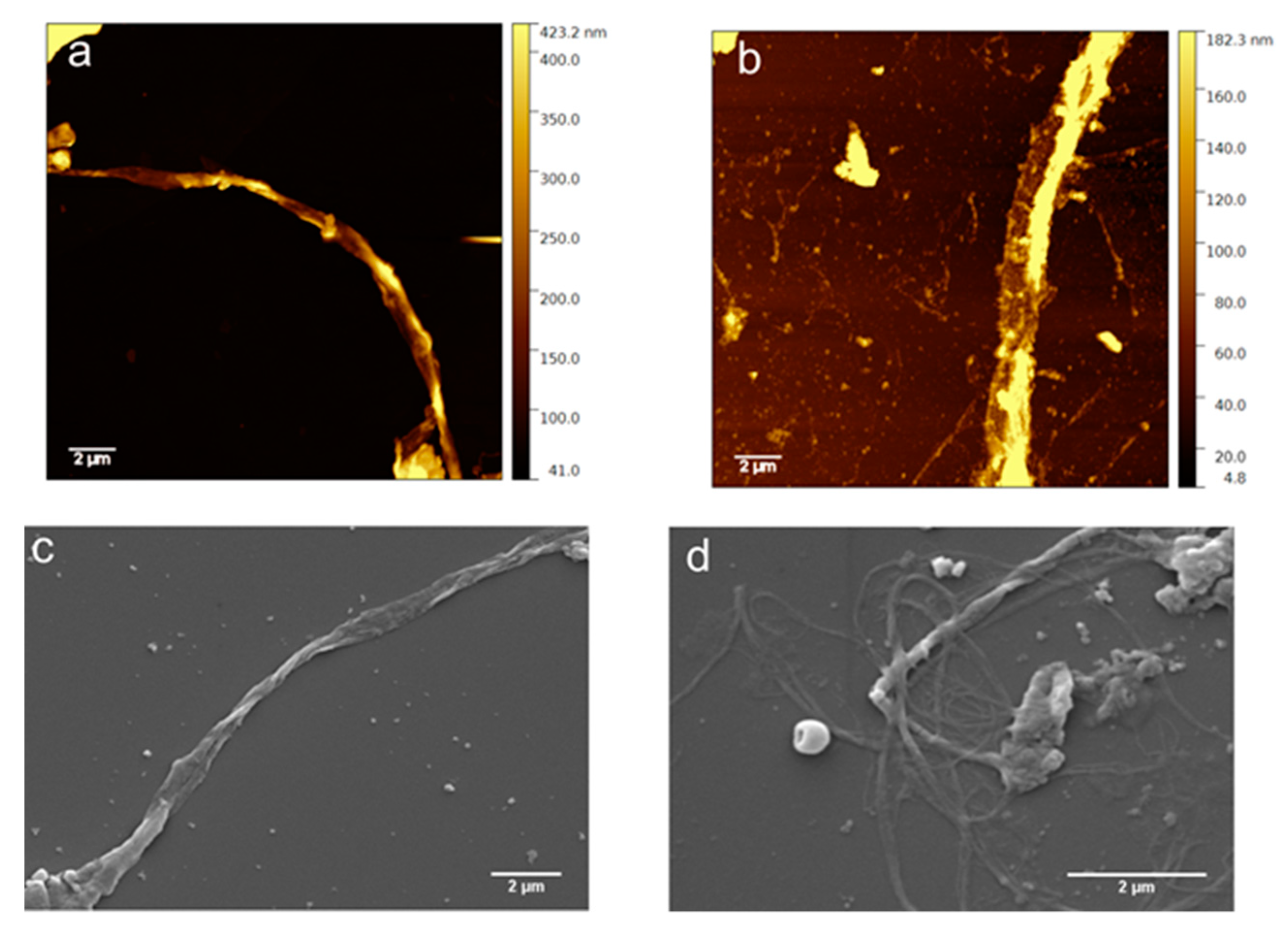 Nanomaterials 09 01613 g005