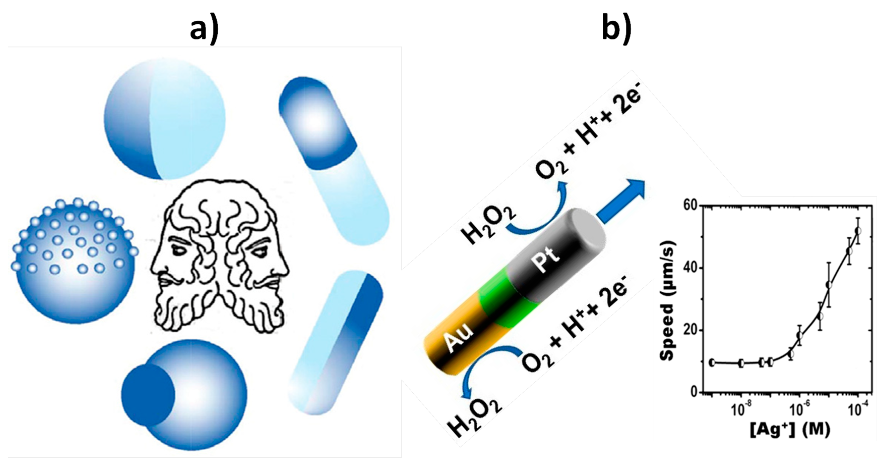 Nanomaterials 09 01614 g001