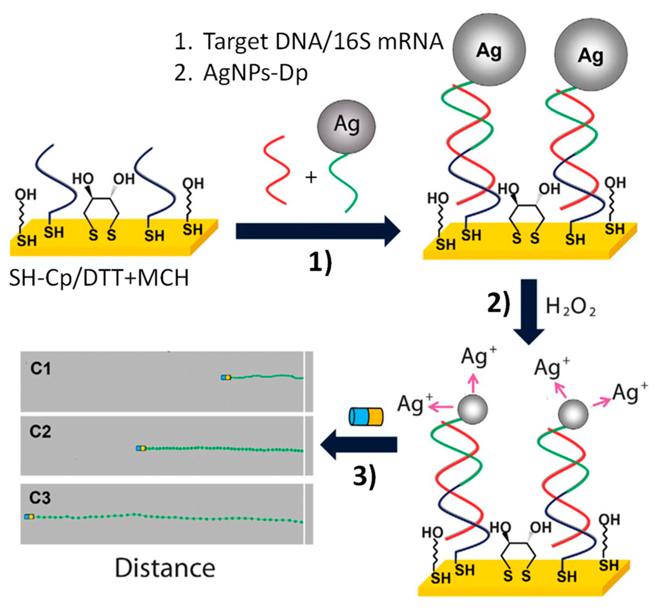 Nanomaterials 09 01614 g002
